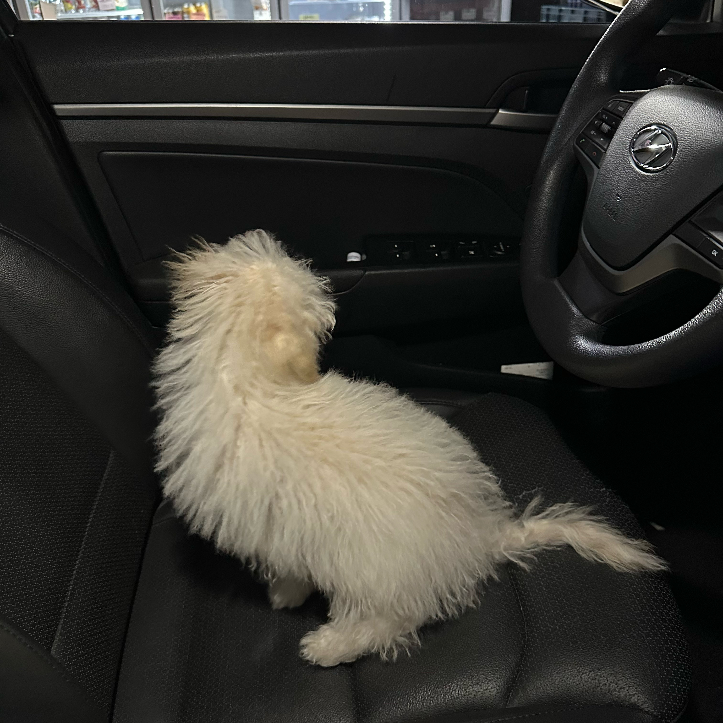 리뷰 사진 2