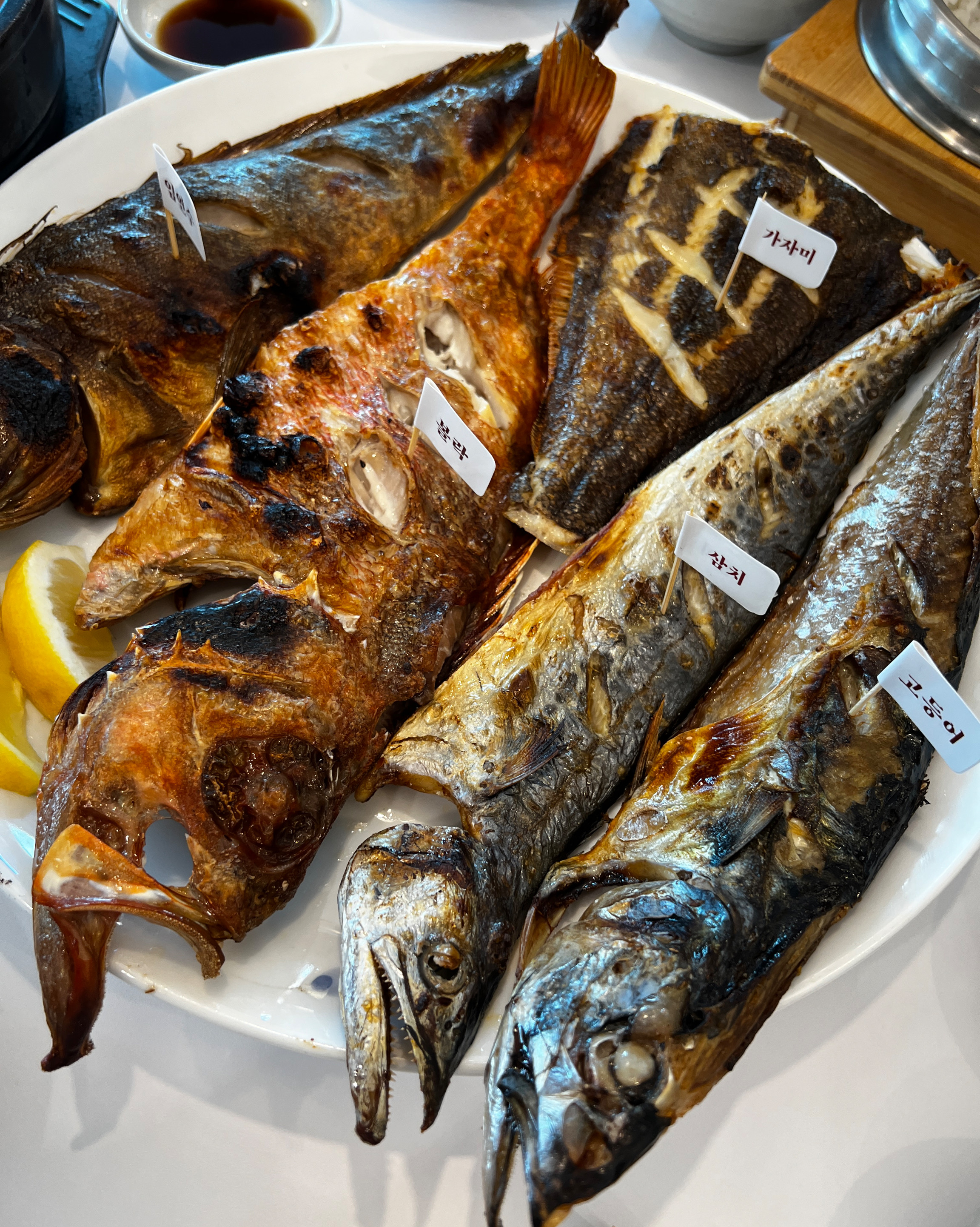 정자역 맛집 생선선생 내돈내산 찐리뷰