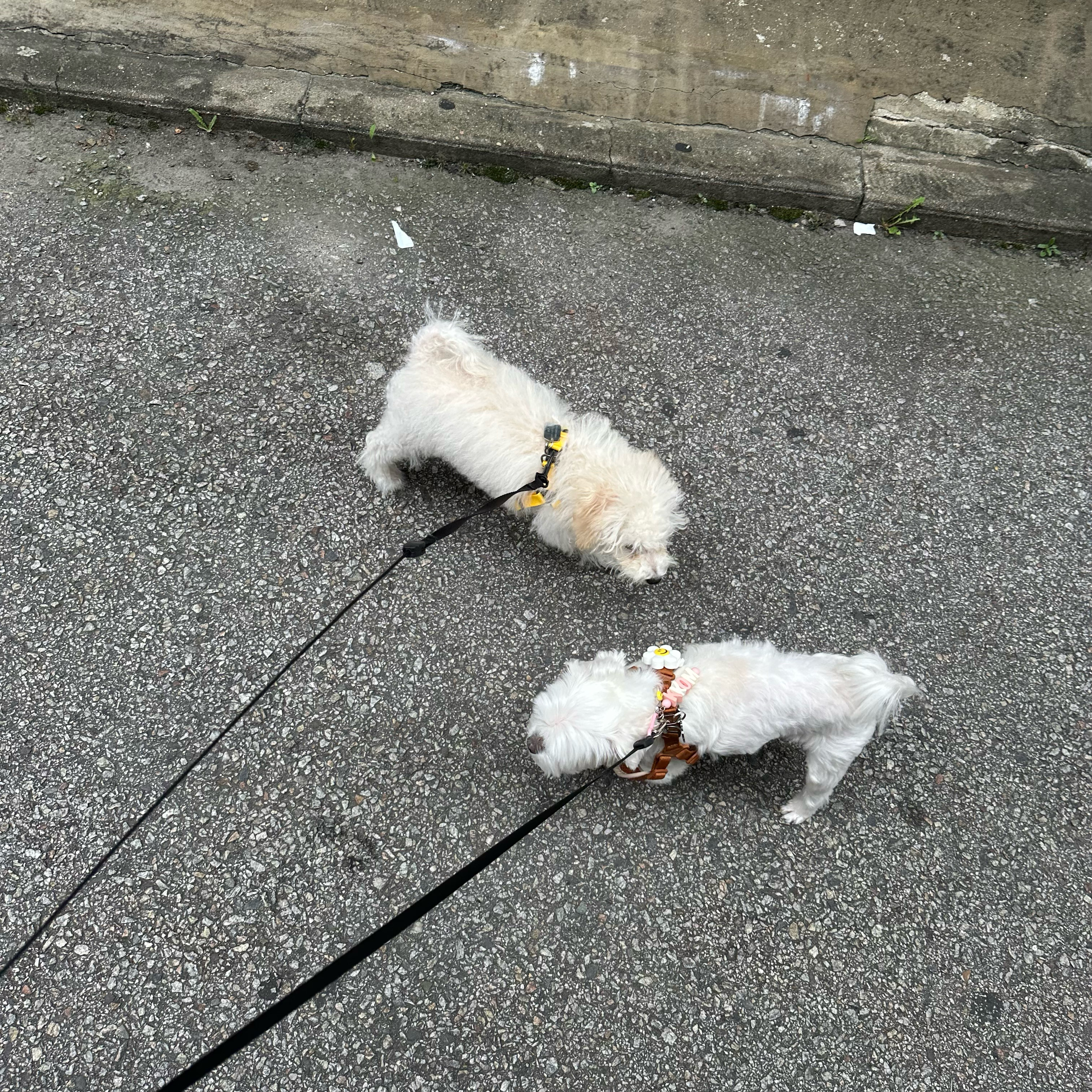 리뷰 사진 1