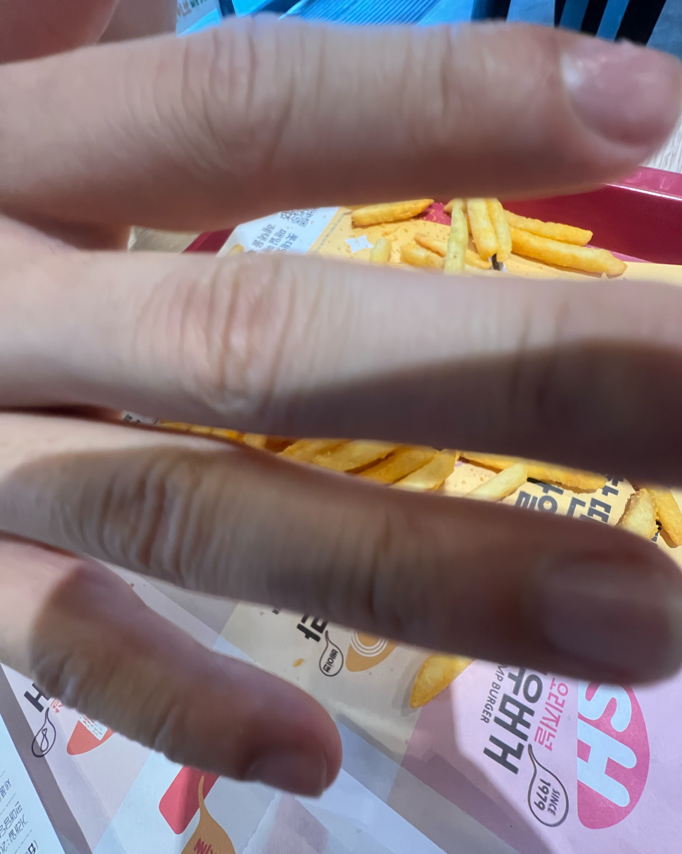 사진이 이것밖에 없어서 죄송합니다...ㅋㅋ - 부산역 맛집 롯데리아 부산역점