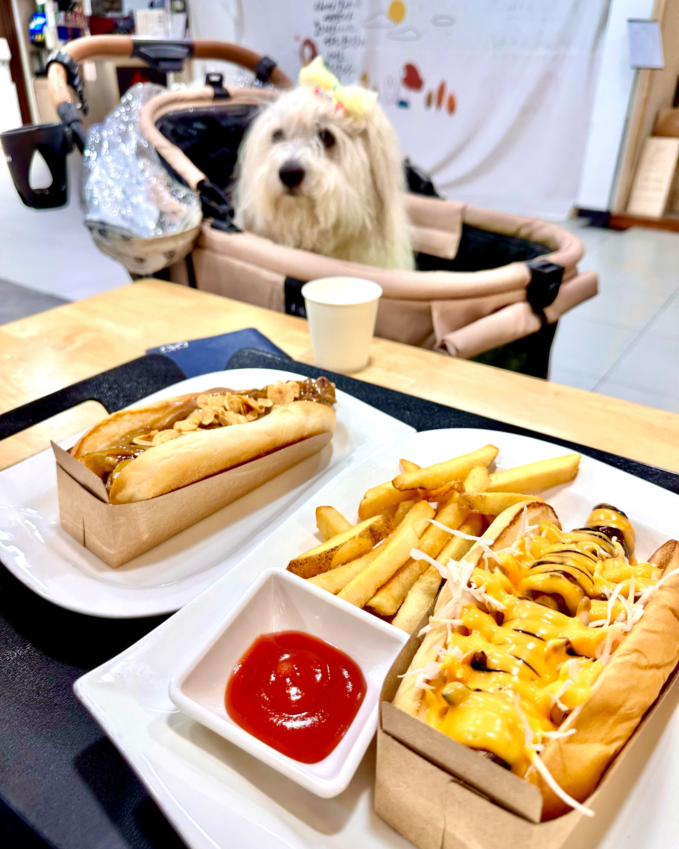 [삼척 맛집 청년꿉자] 직접 가본 로컬 리뷰