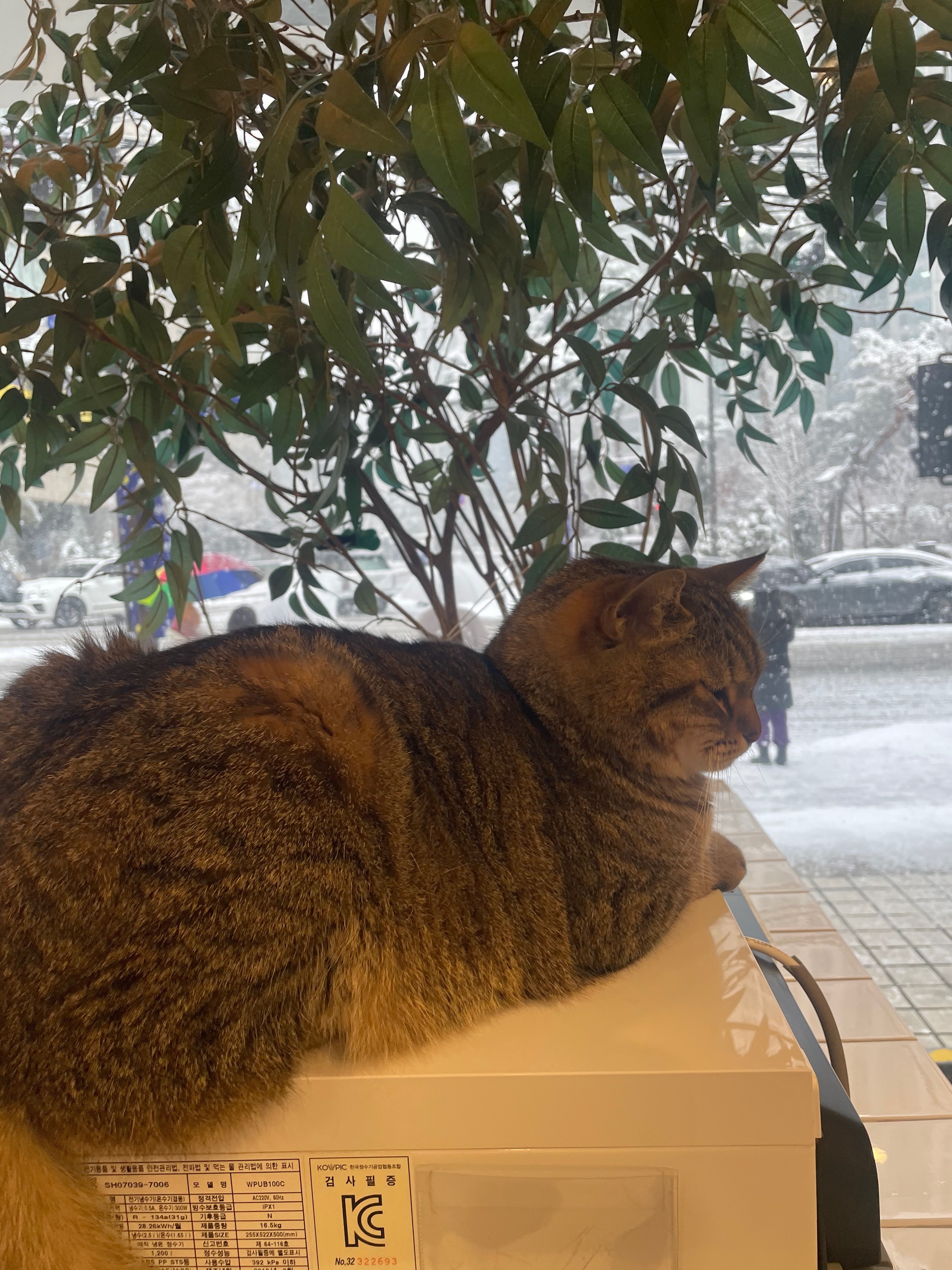 리뷰 사진 5