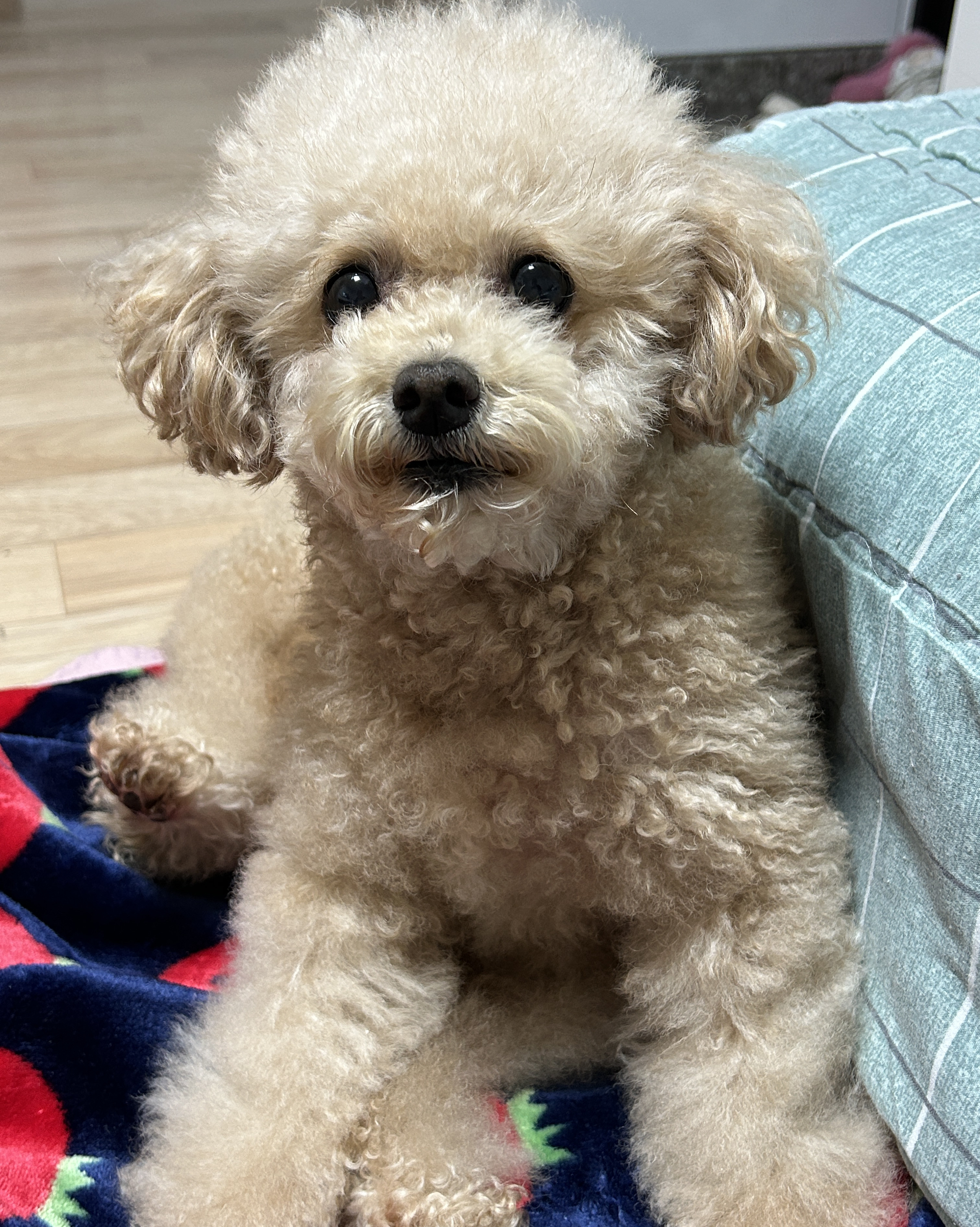 리뷰 사진 1