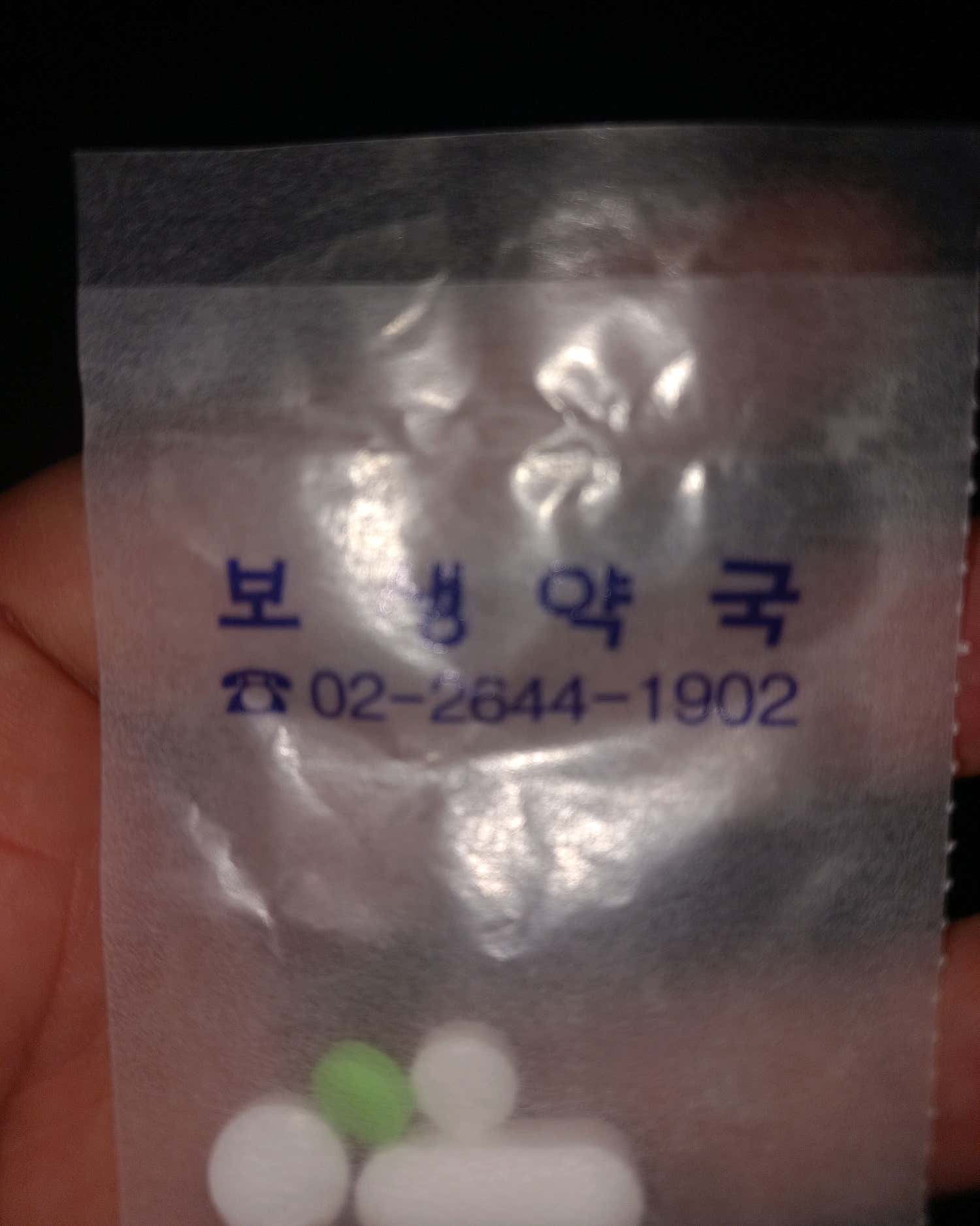 독일의원
