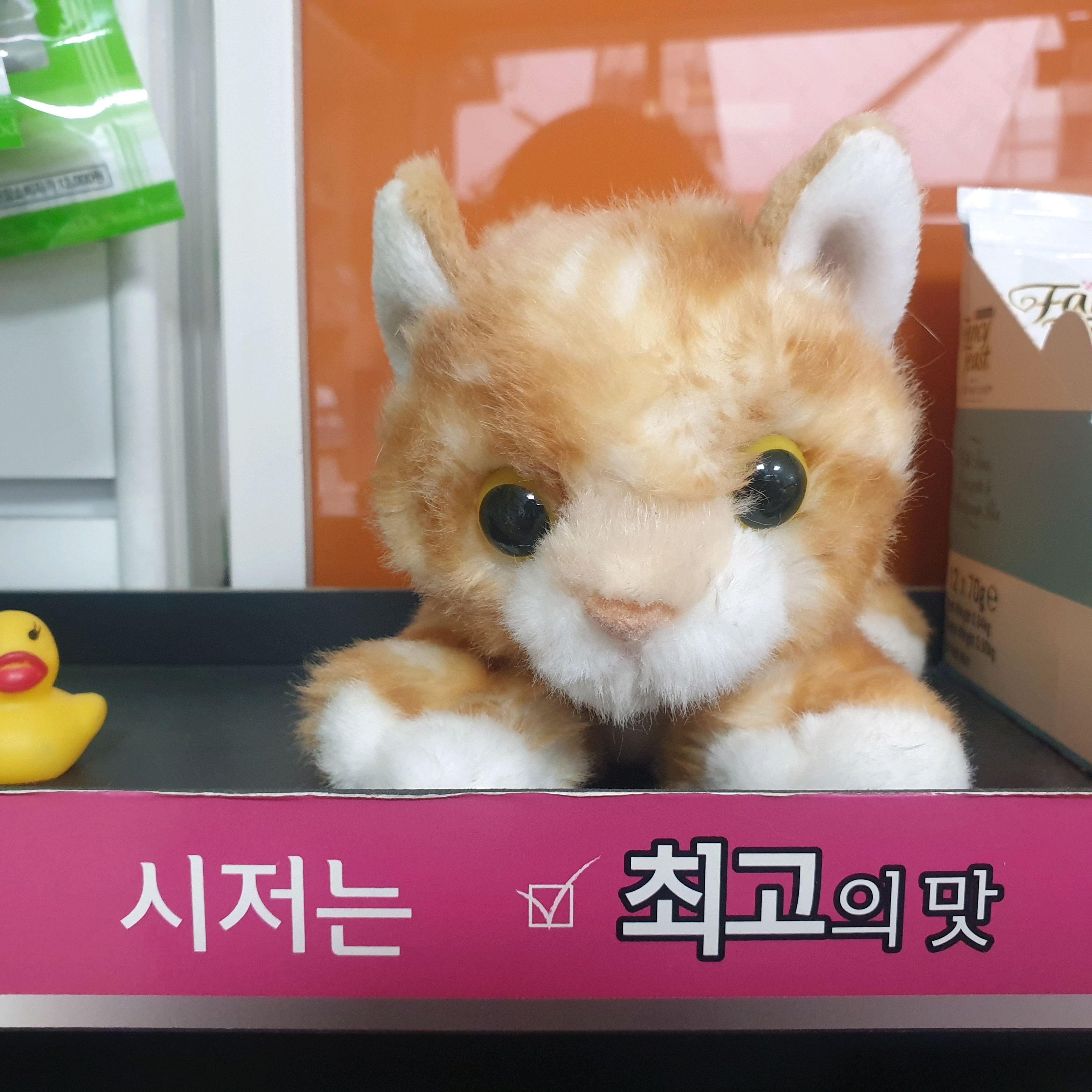 리뷰 사진 3