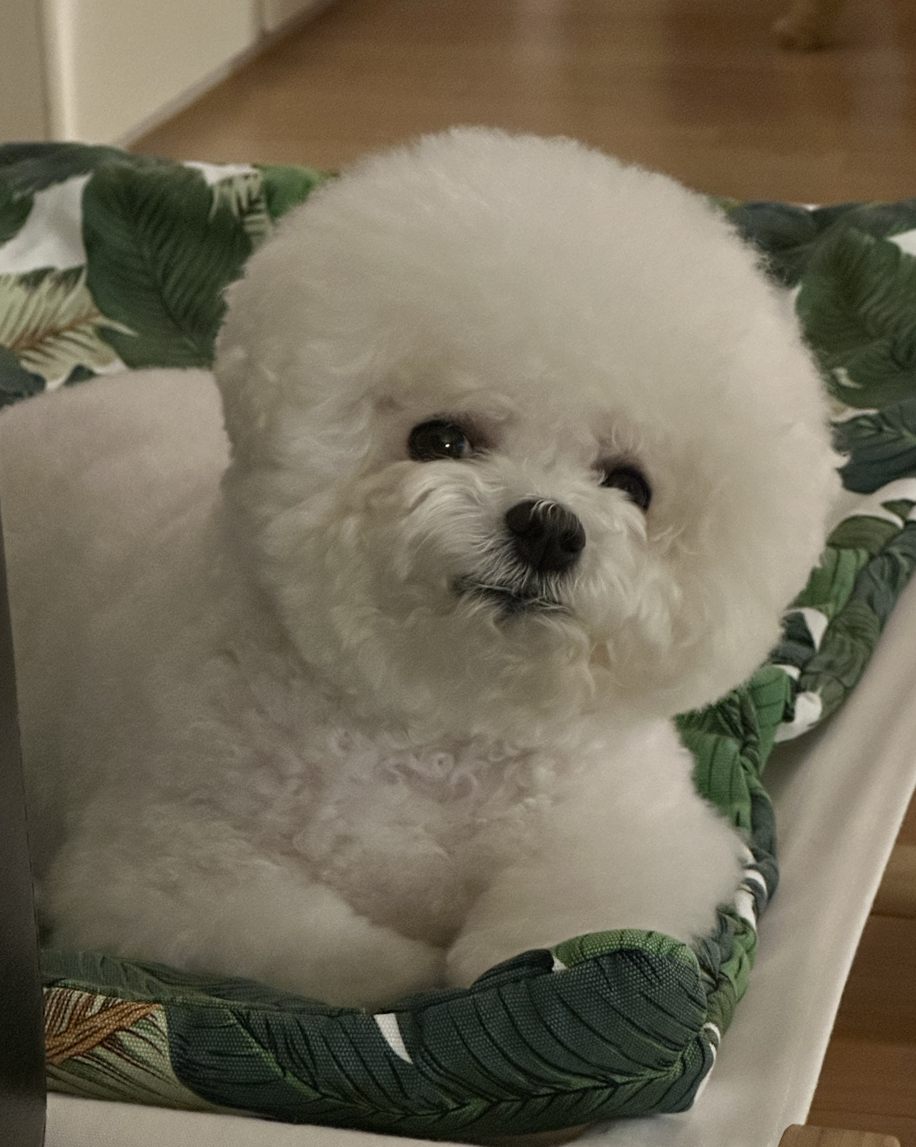 리뷰 사진 1