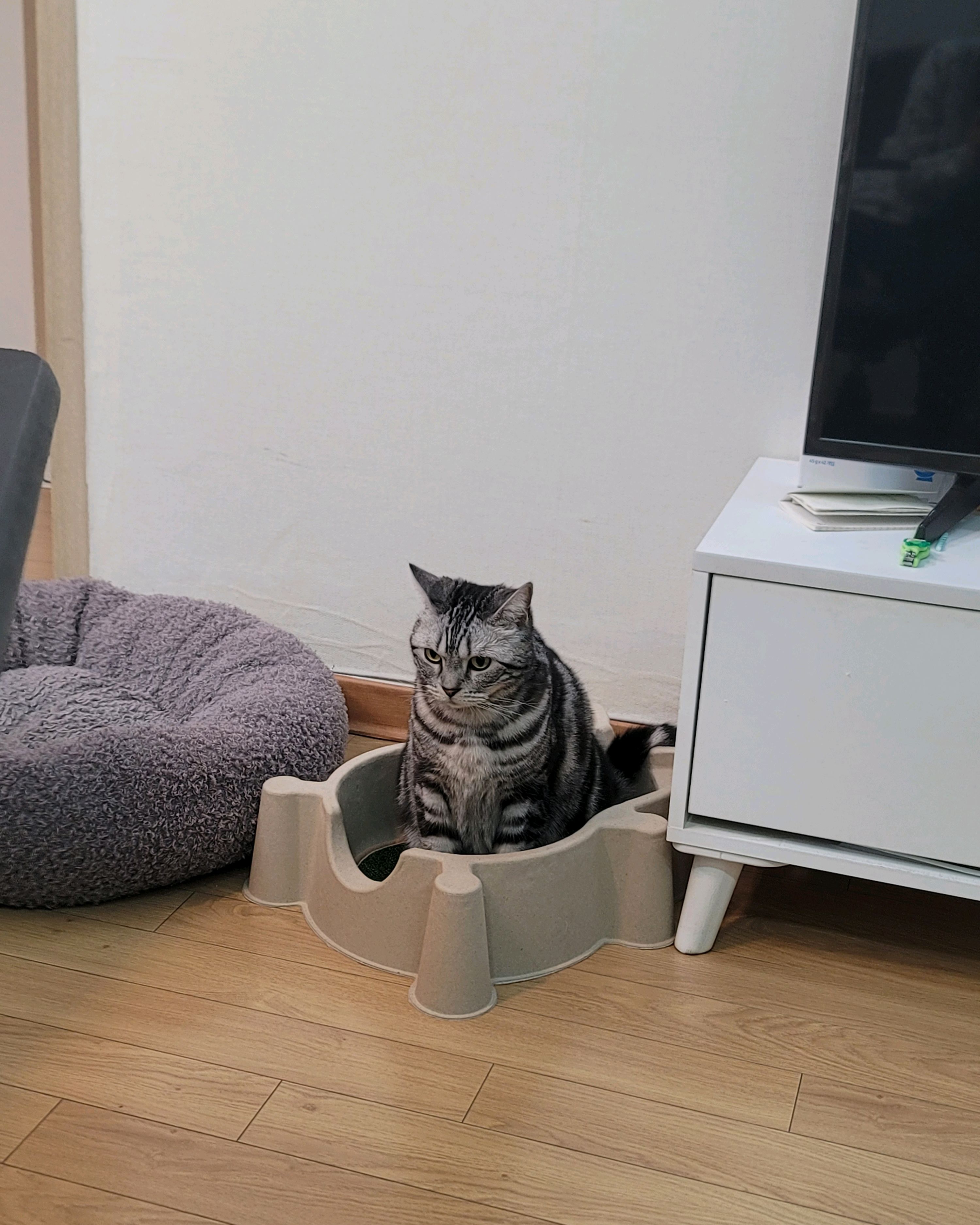 리뷰 사진 1