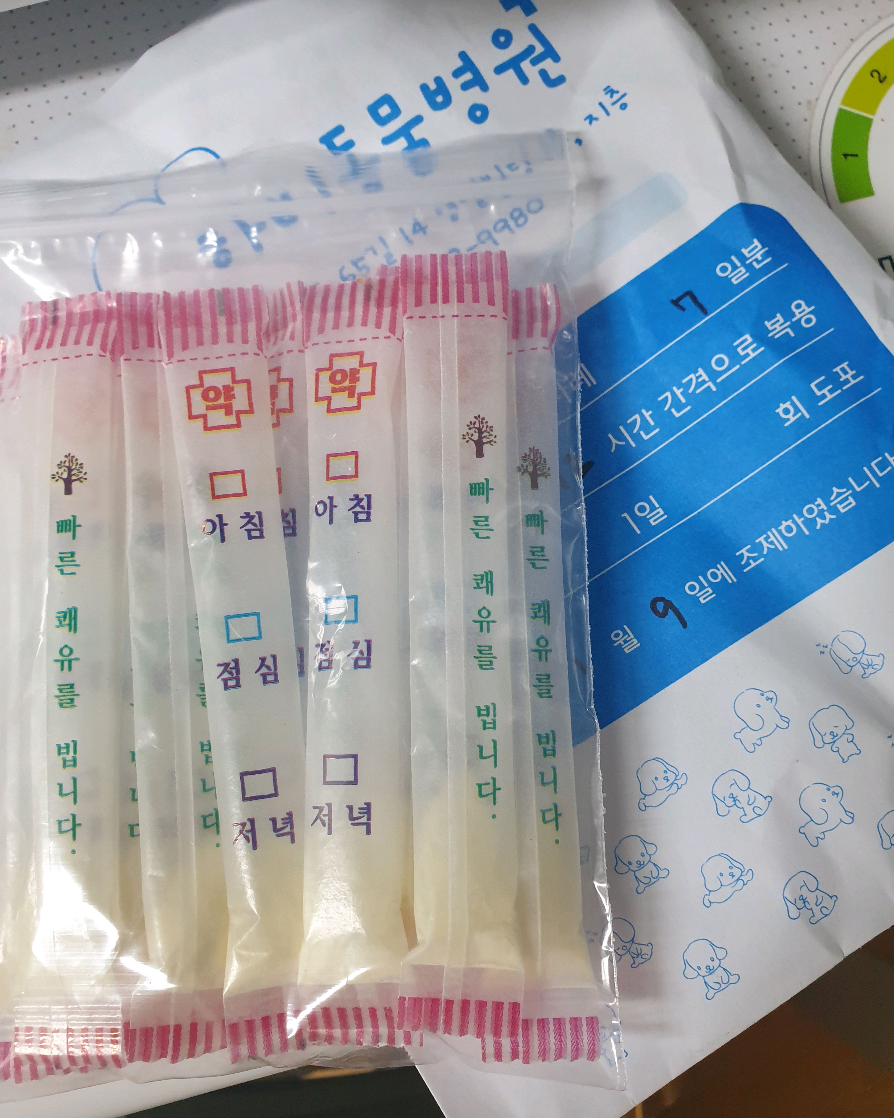 하비동물병원 사진 3