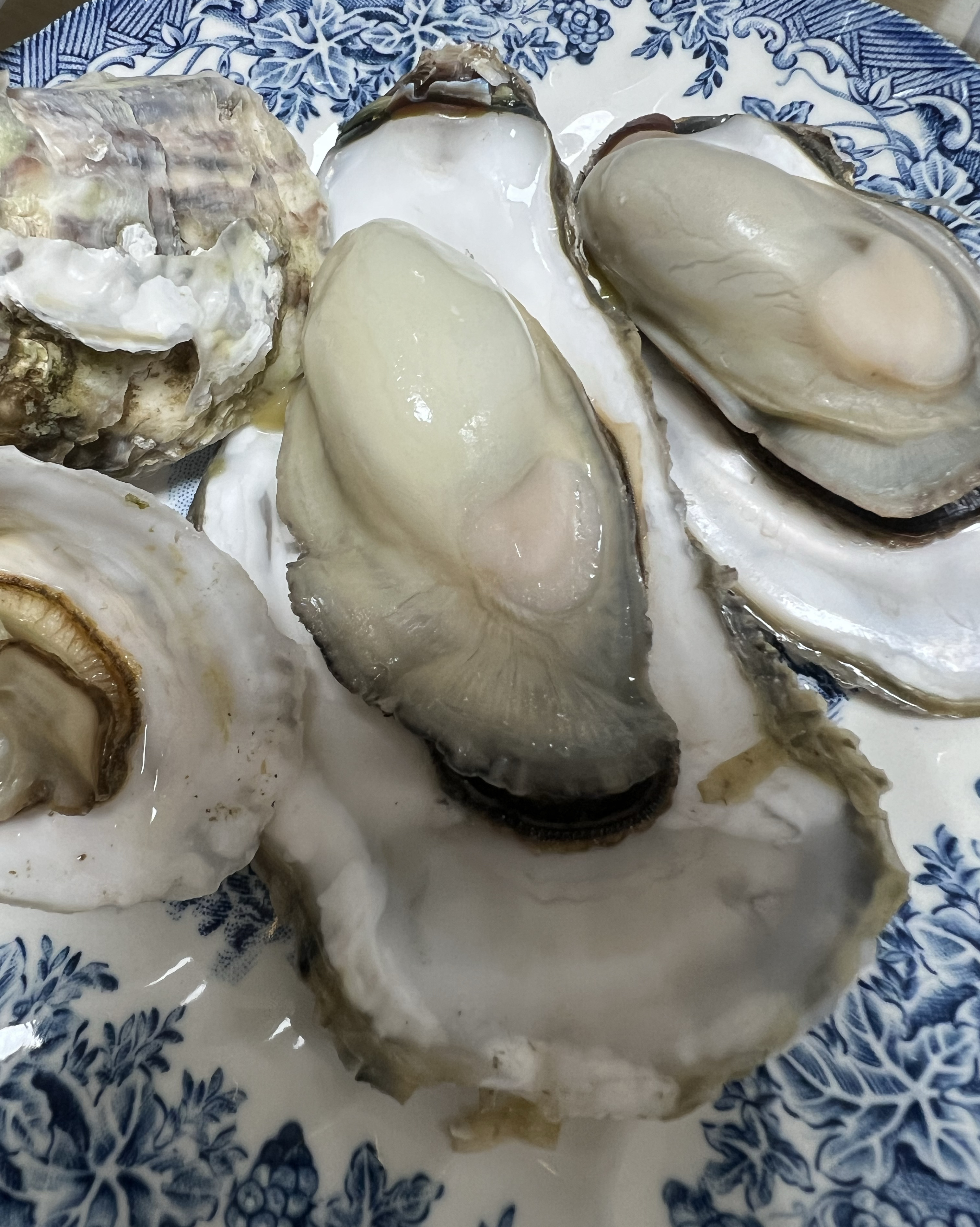석화 1망 2만원에 구매해서 너무너무 잘먹었어요 - 권선동 맛집 부부수산