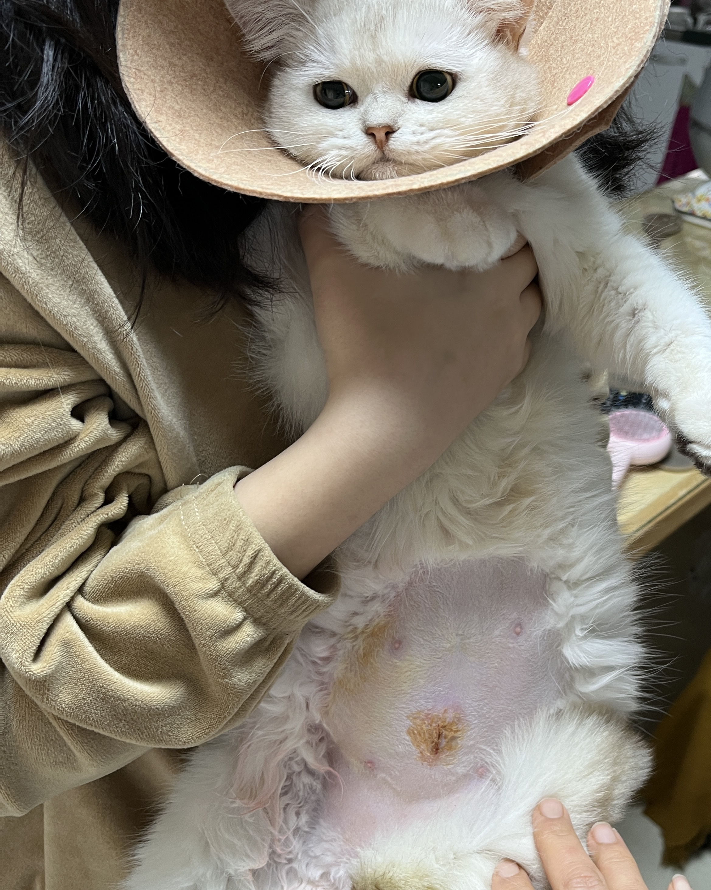 리뷰 사진 1