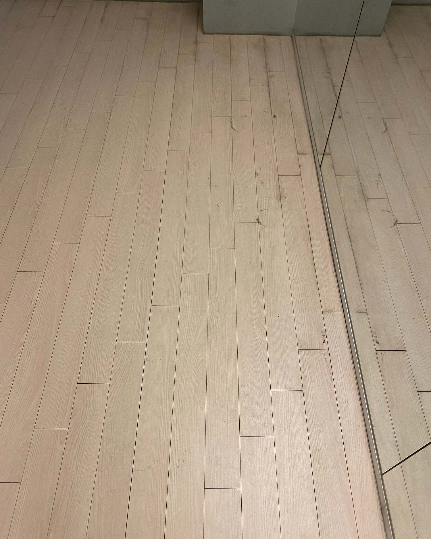 2번째 스튜디오 사진