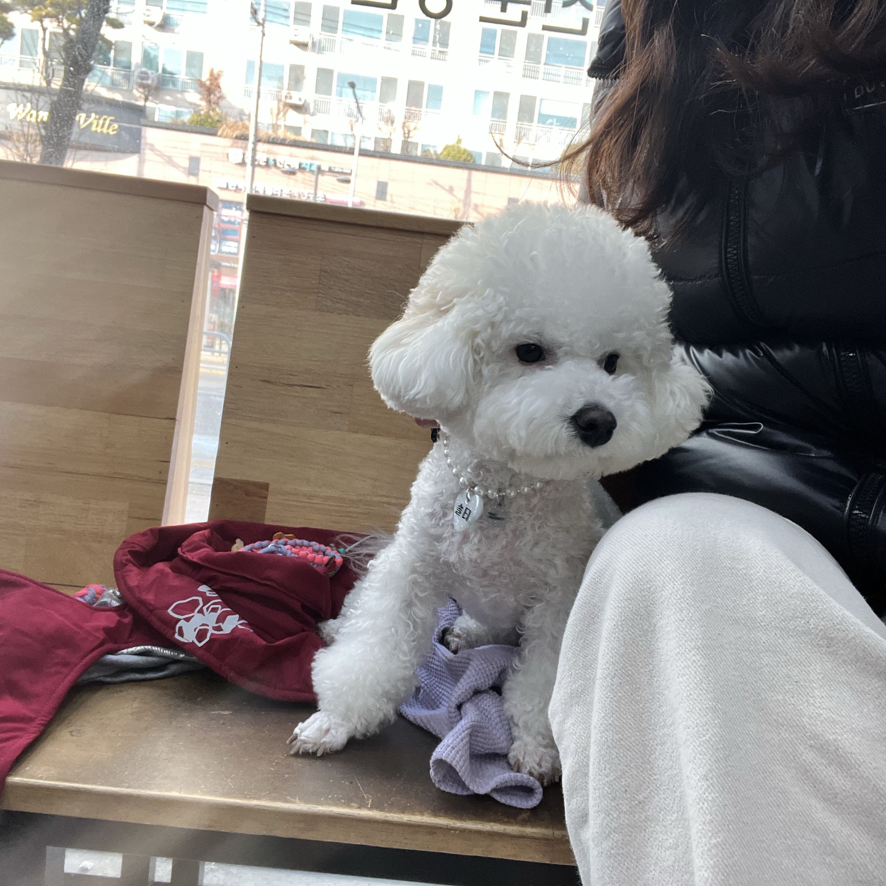 리뷰 사진 1