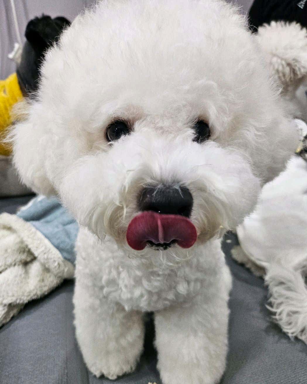 쉼아로마 (완정역) 매장 사진 9