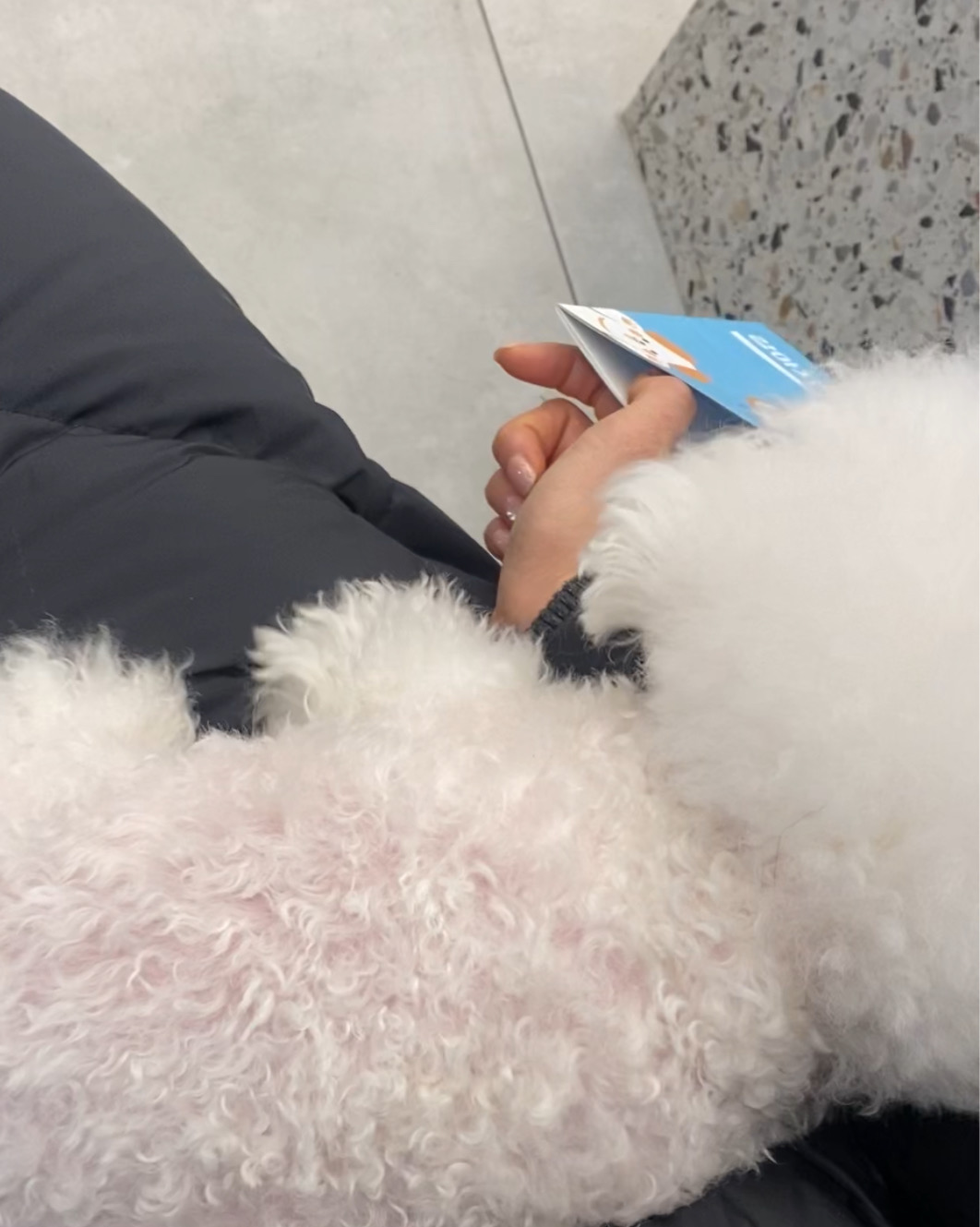 리뷰 사진 1