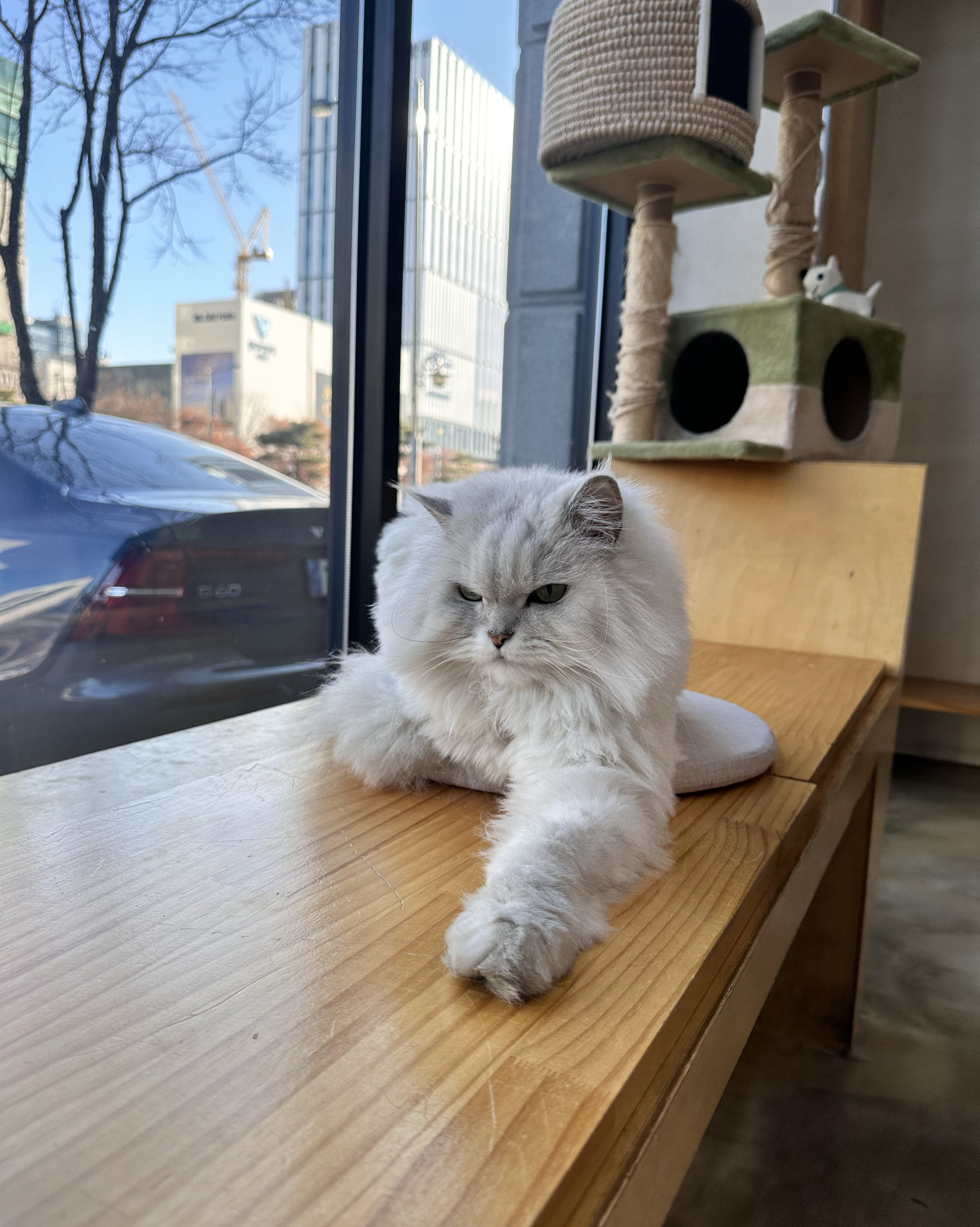 리뷰 사진 4