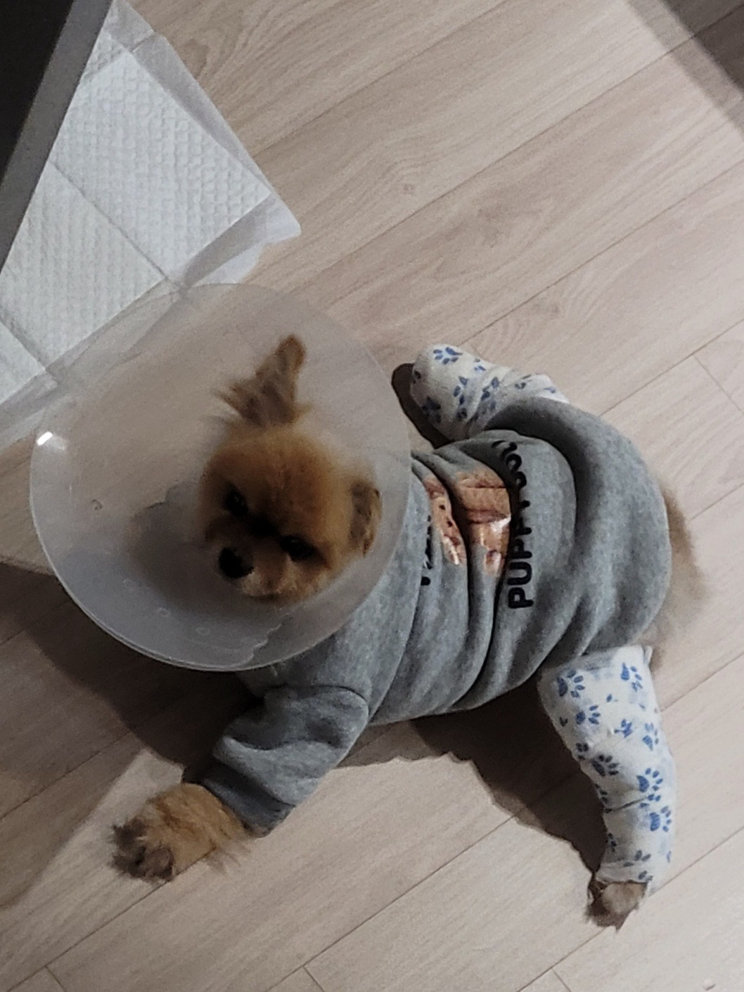 리뷰 사진 1