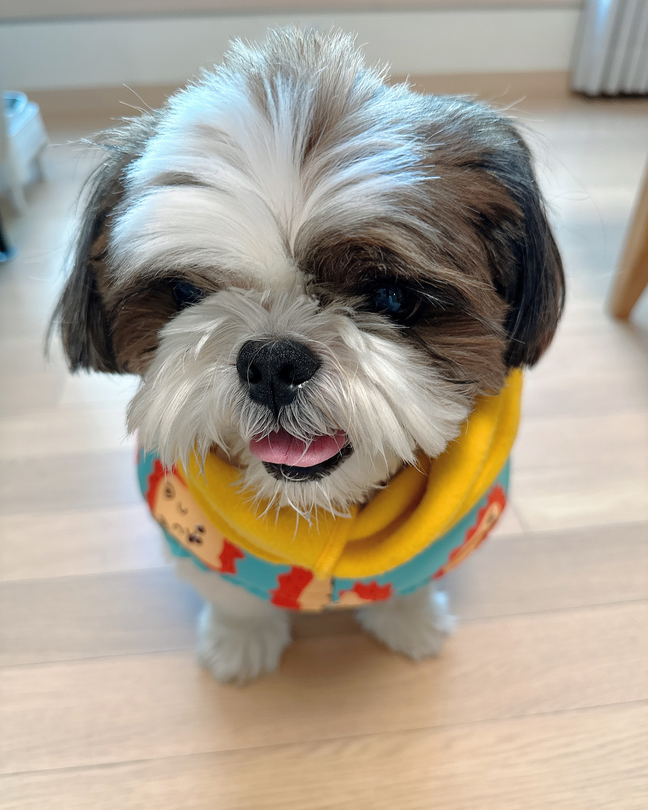 리뷰 사진 2