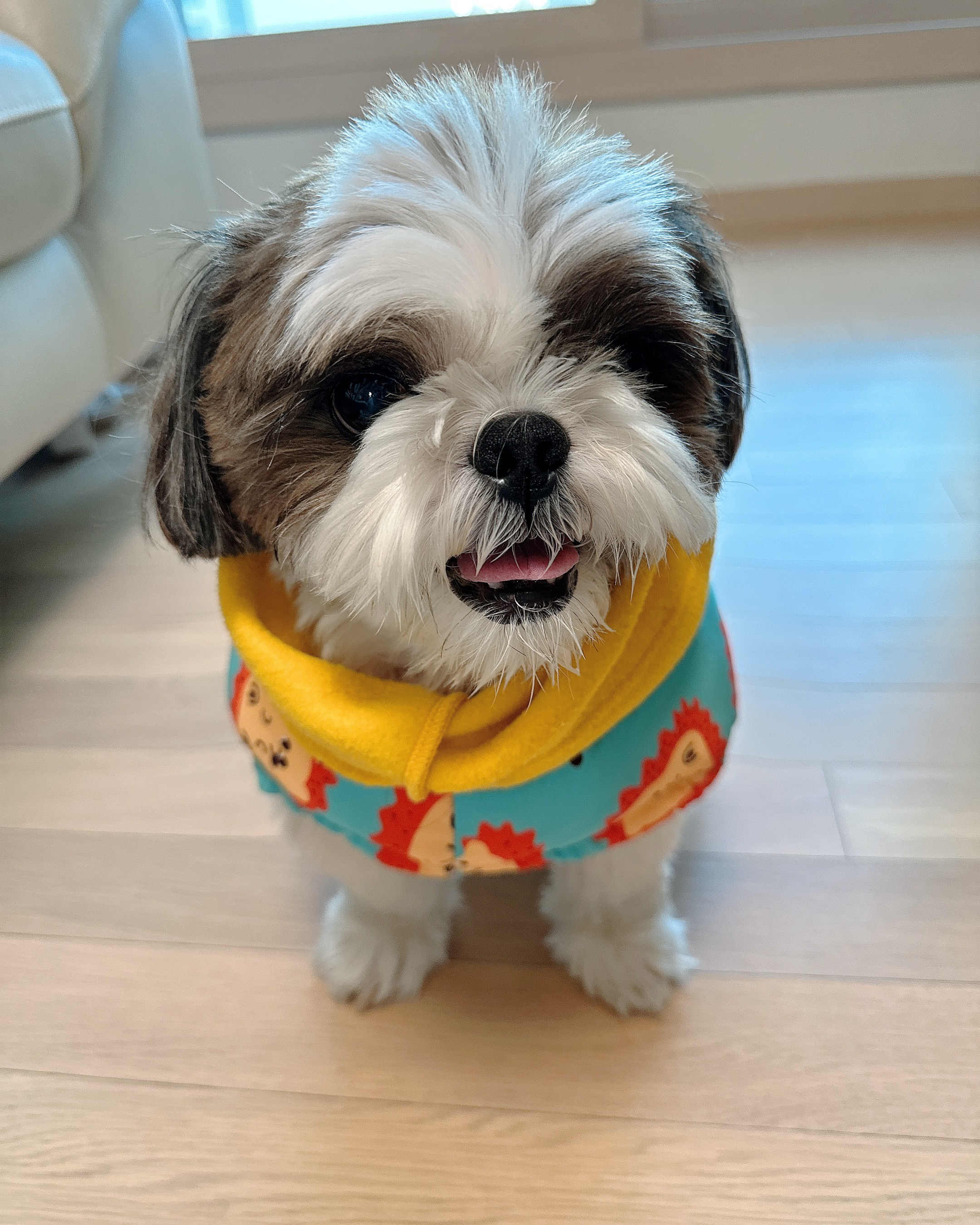 리뷰 사진 1