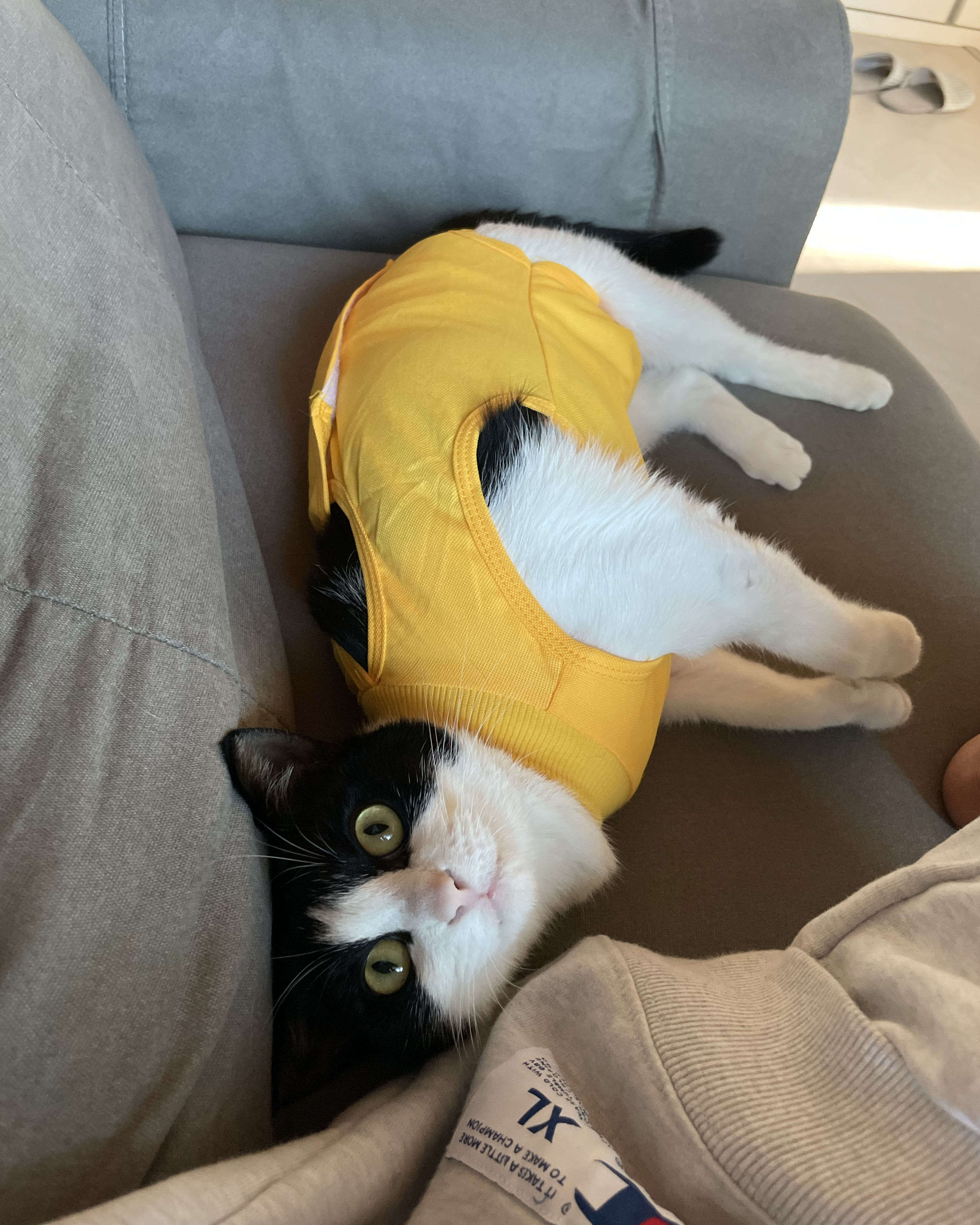 리뷰 사진 1