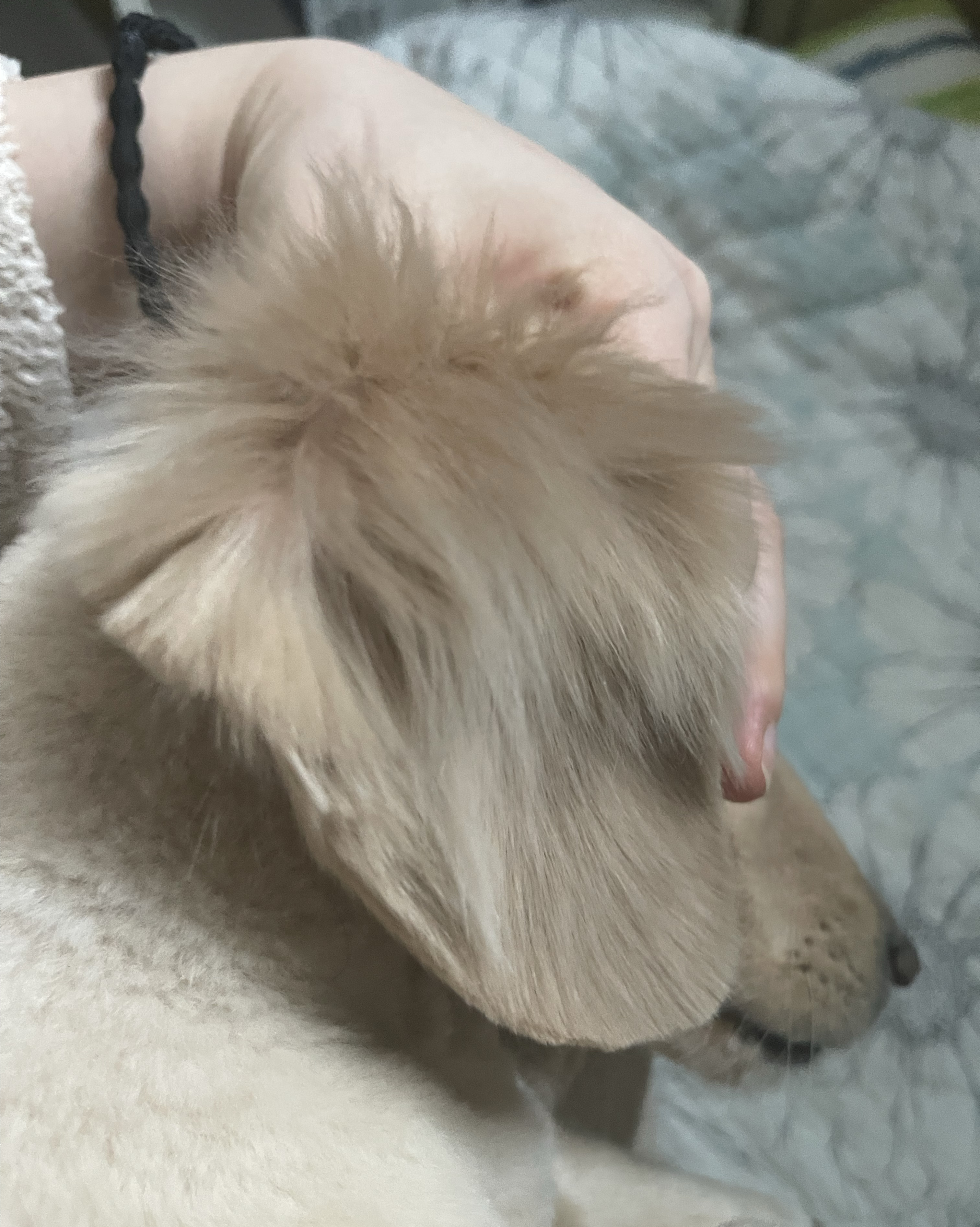 리뷰 사진 2
