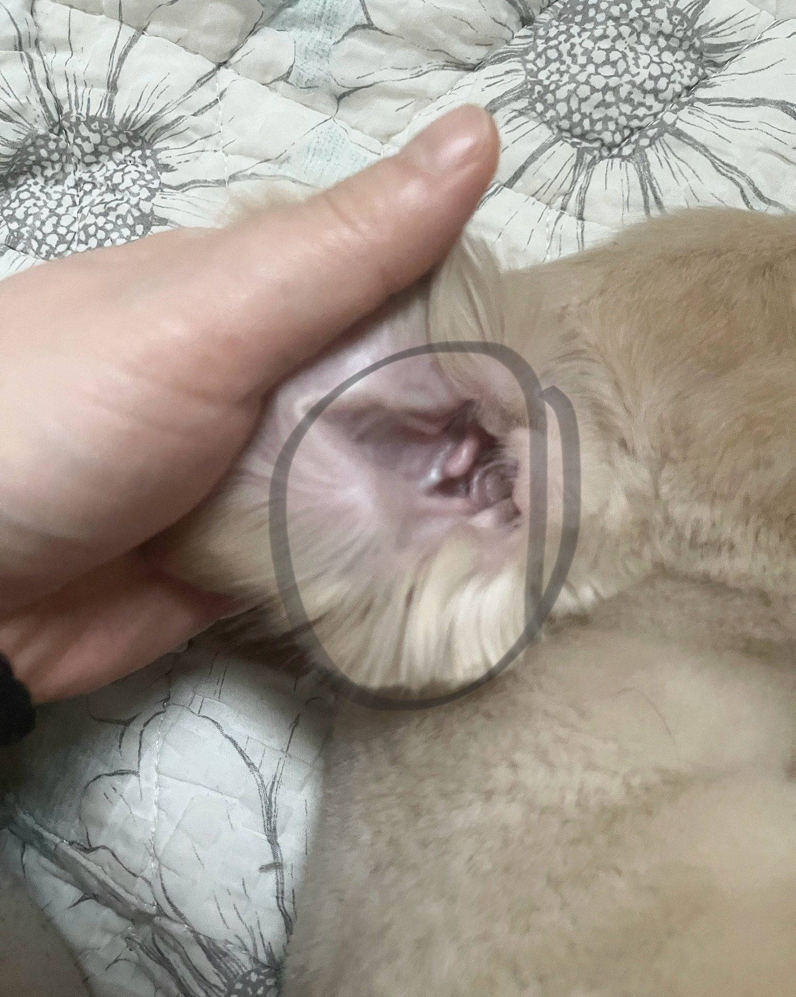 리뷰 사진 5