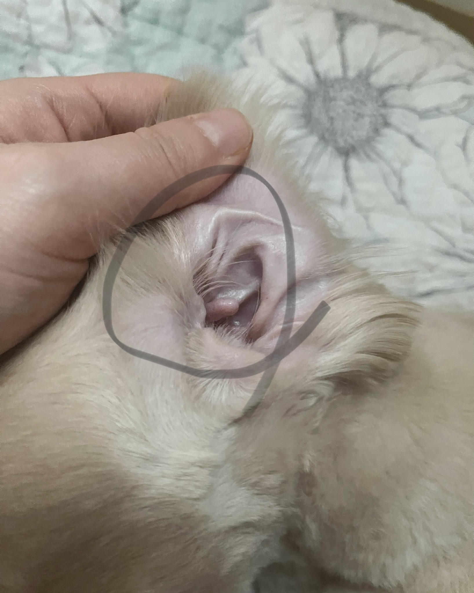 리뷰 사진 4