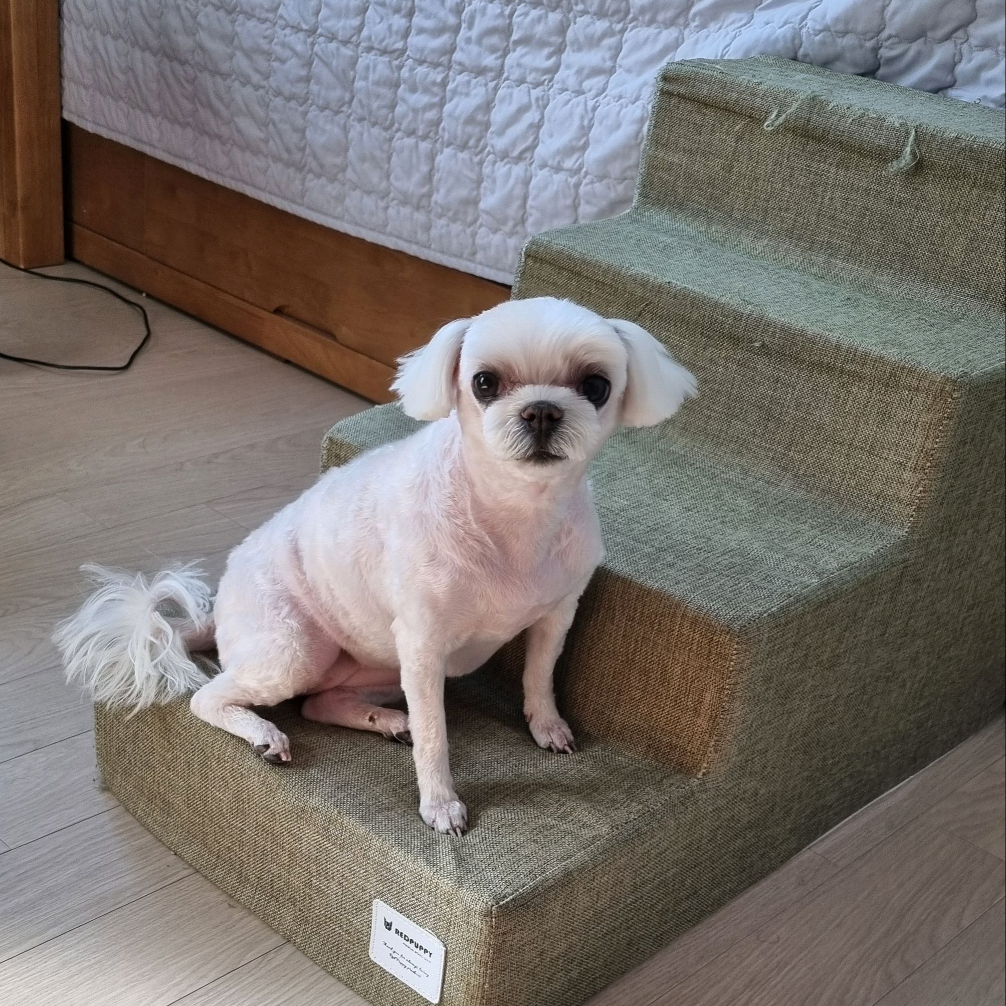 리뷰 사진 1