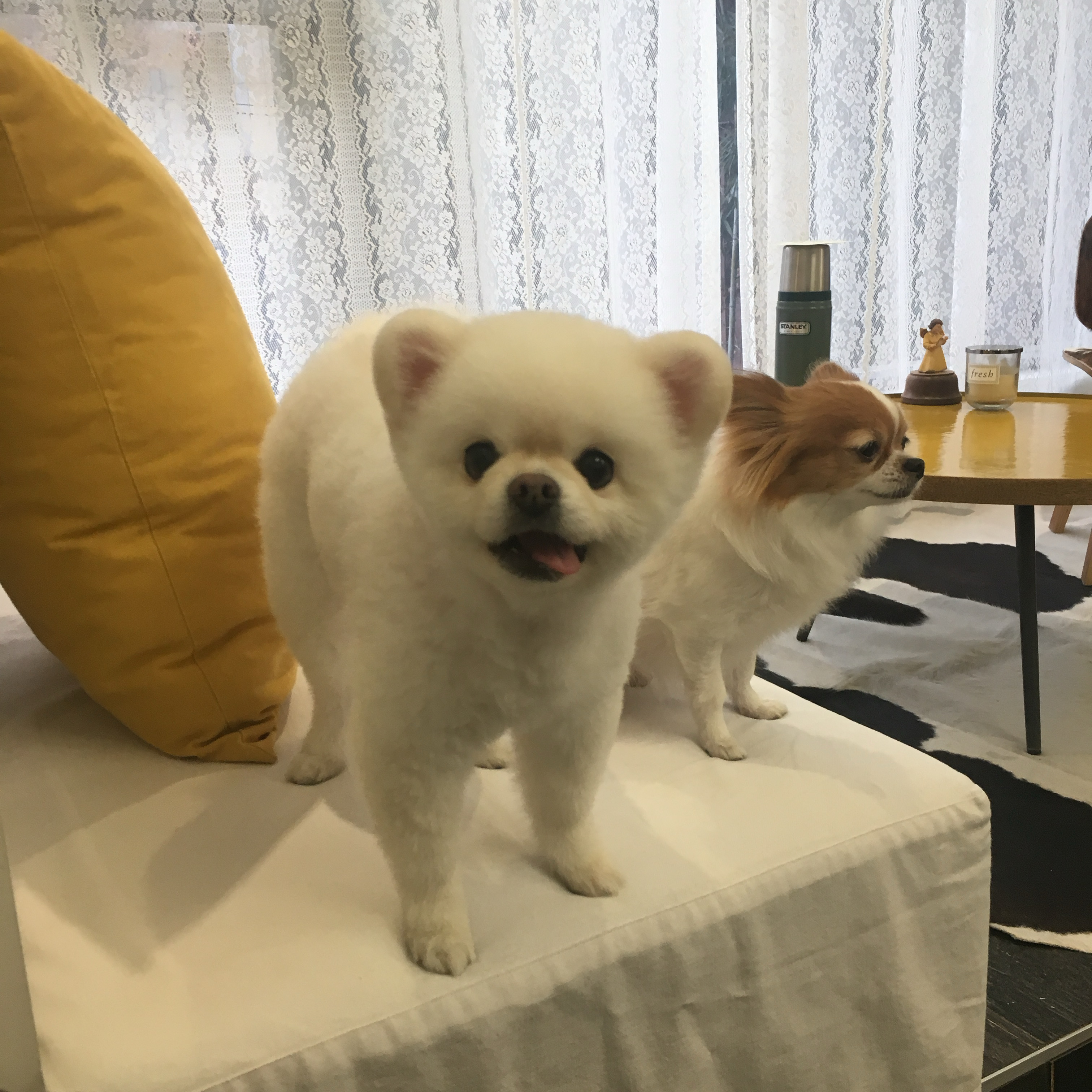 리뷰 사진 1