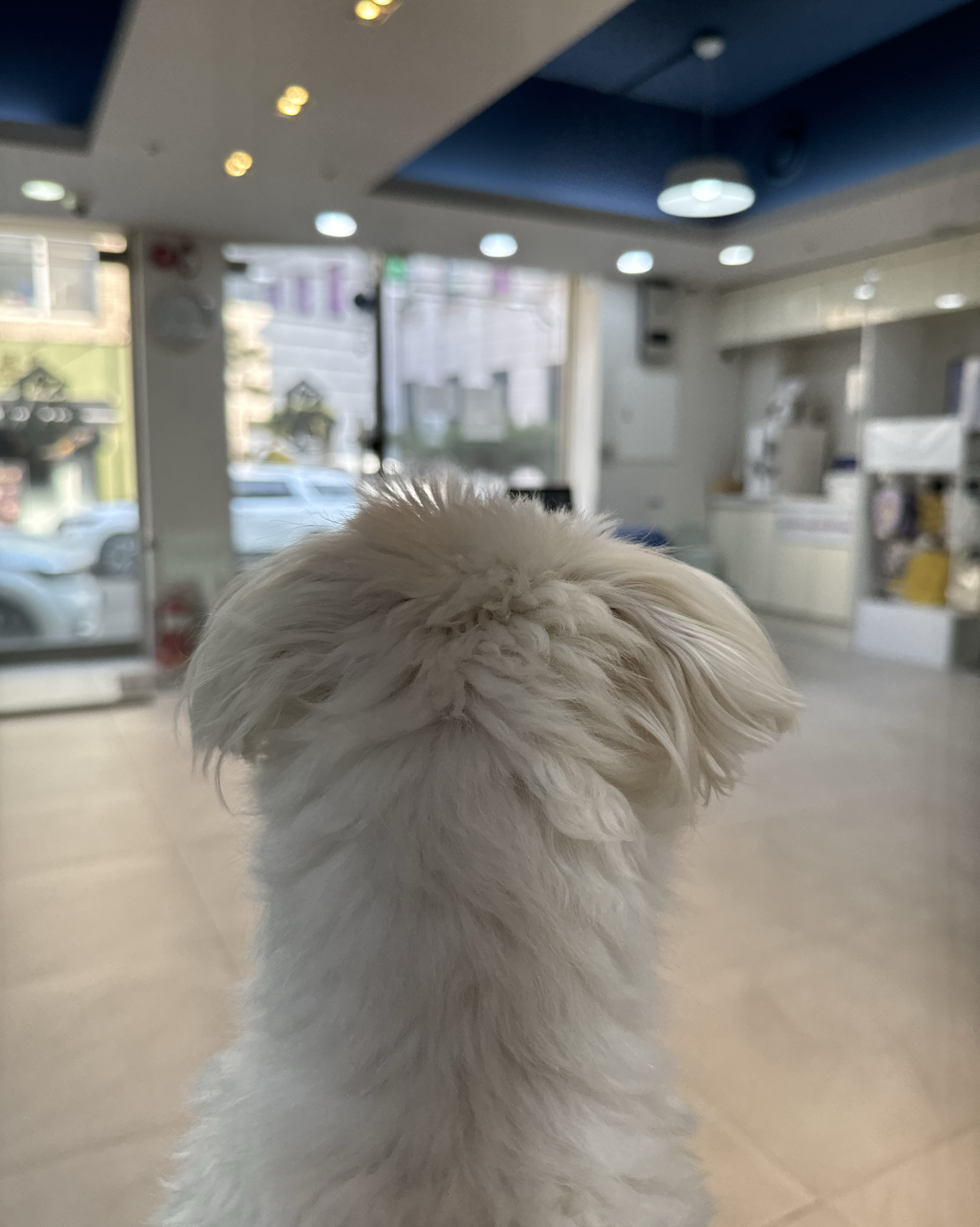 리뷰 사진 2