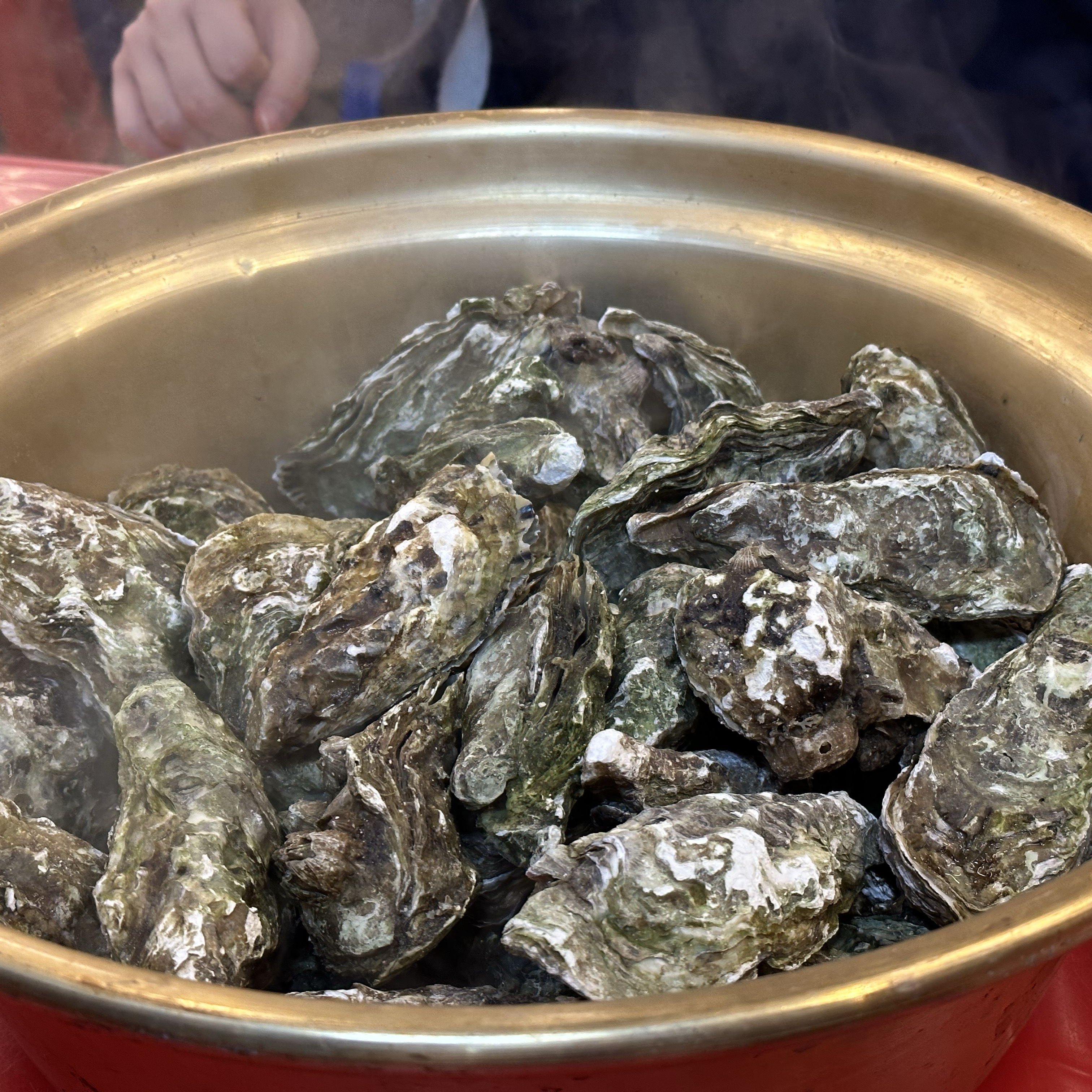 Tongyeong Guljjim (steamed oysters) at Yeouido Station Restaurant