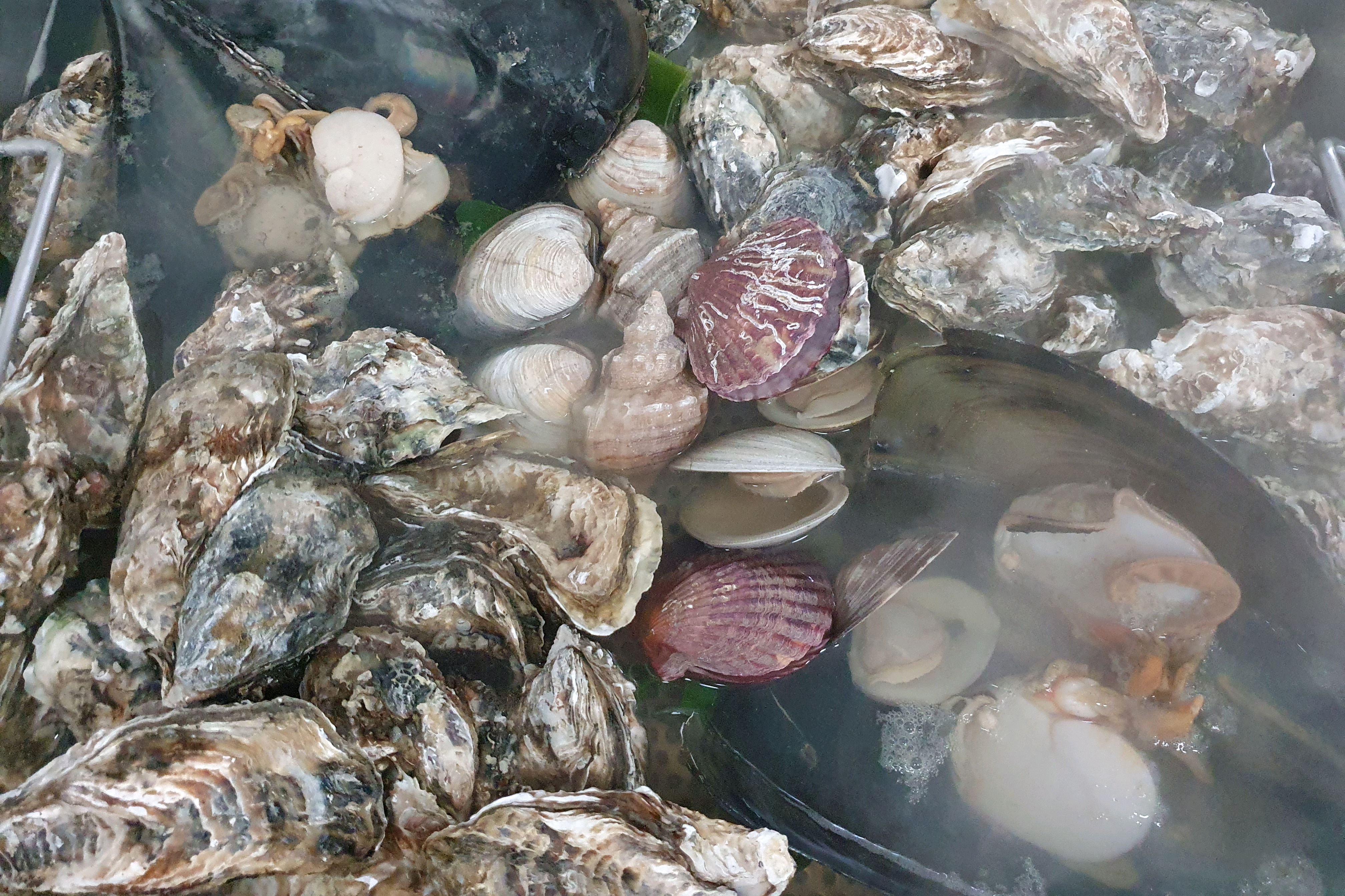 Myeongil Station Restaurant Oyster Hanmadang