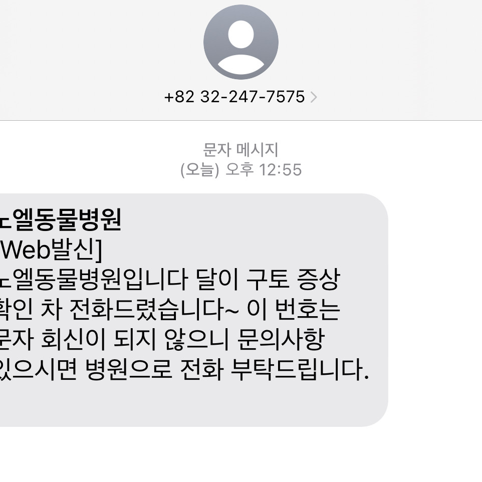 노엘동물병원 사진 2