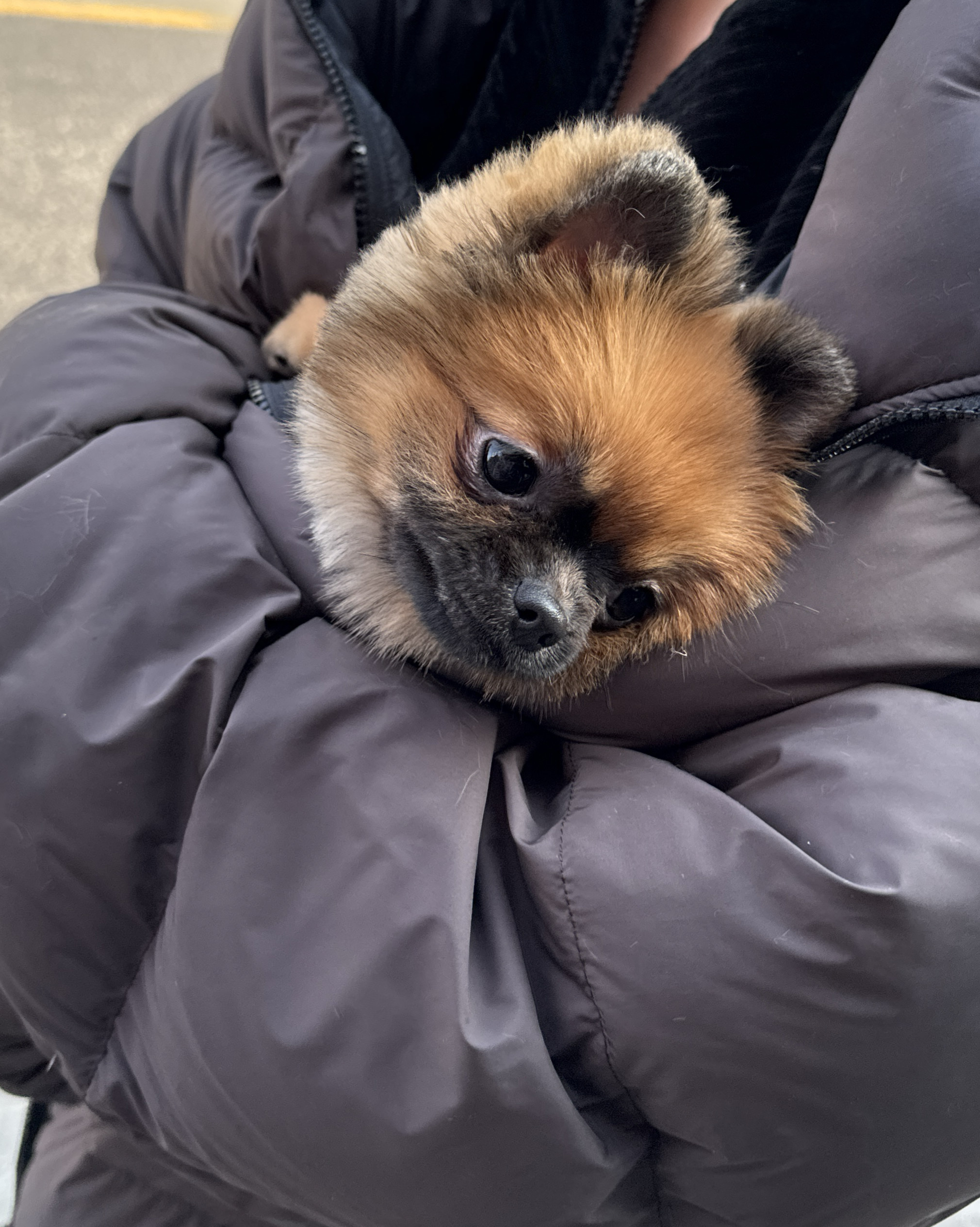 리뷰 사진 1