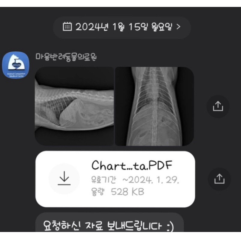 리뷰 사진 6
