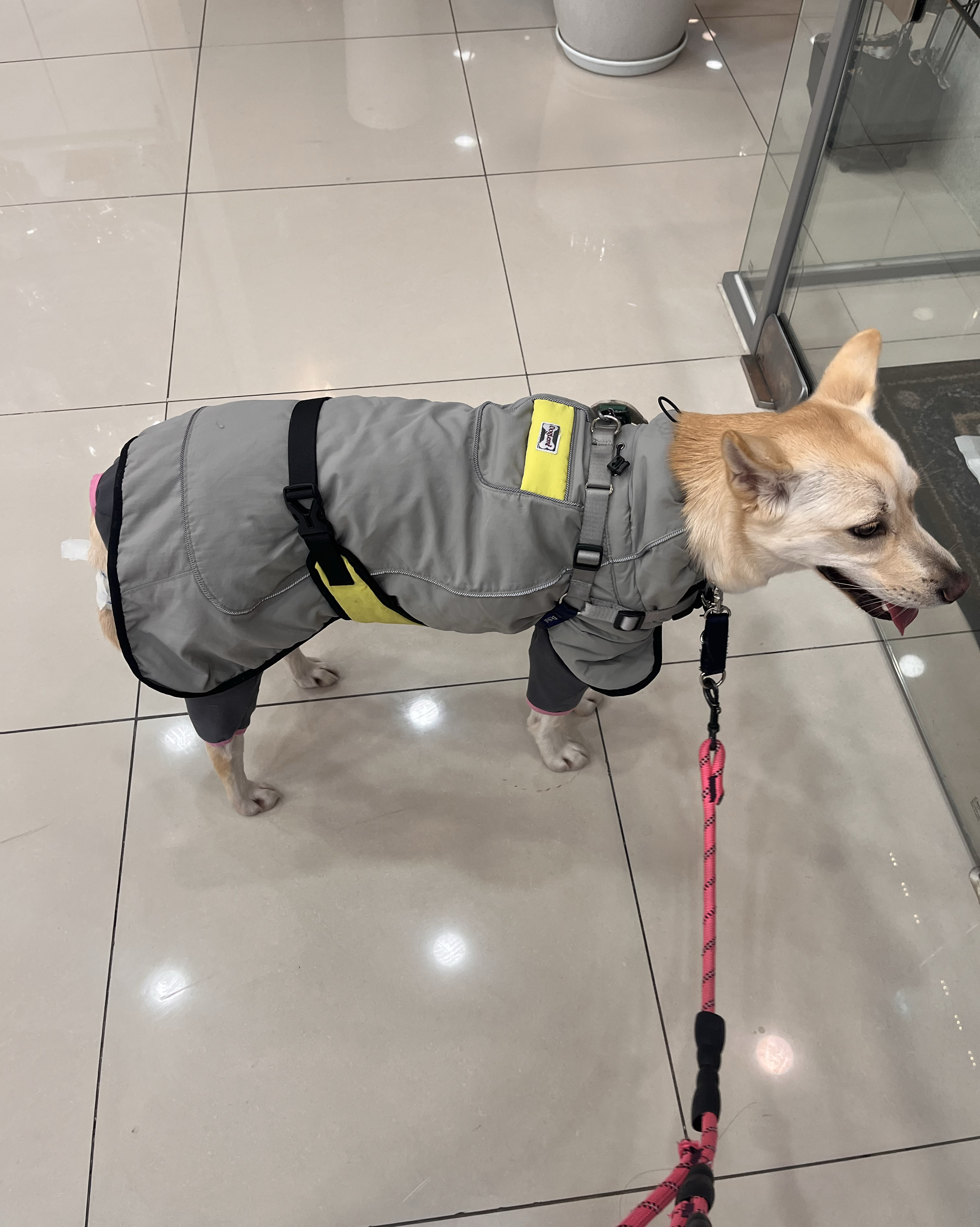 하트만 동물병원 사진 2