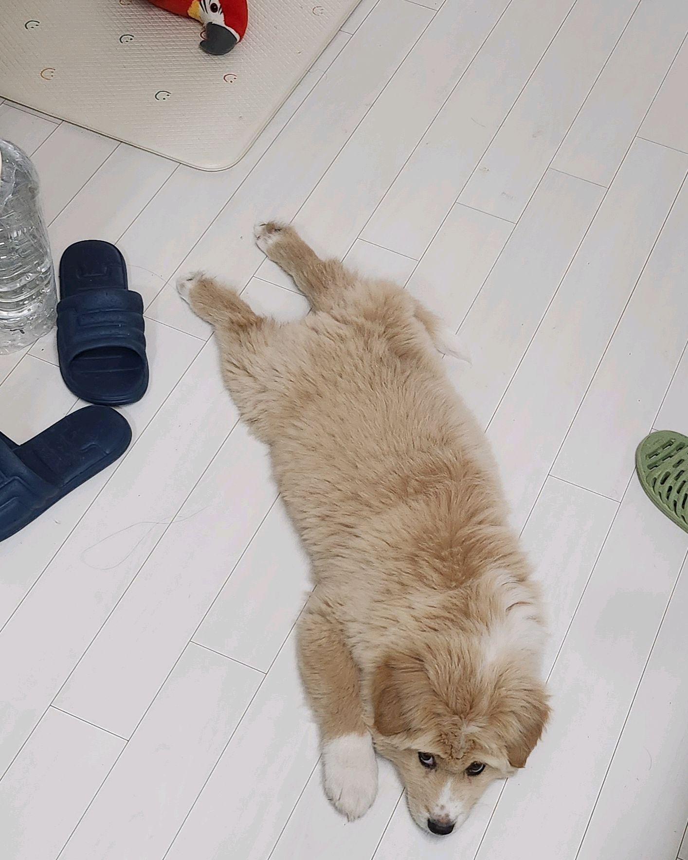 심재훈동물병원 사진 3