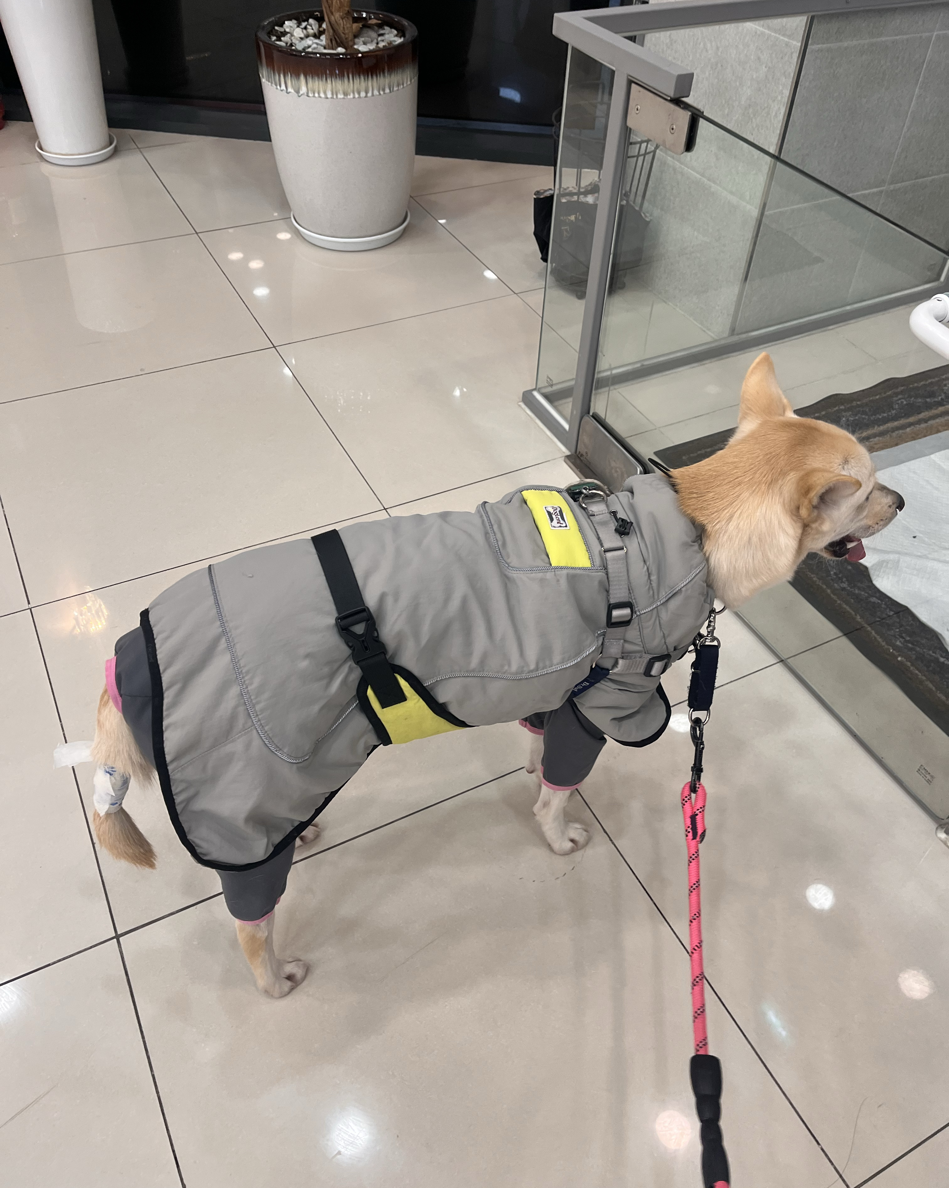 하트만 동물병원 사진 3