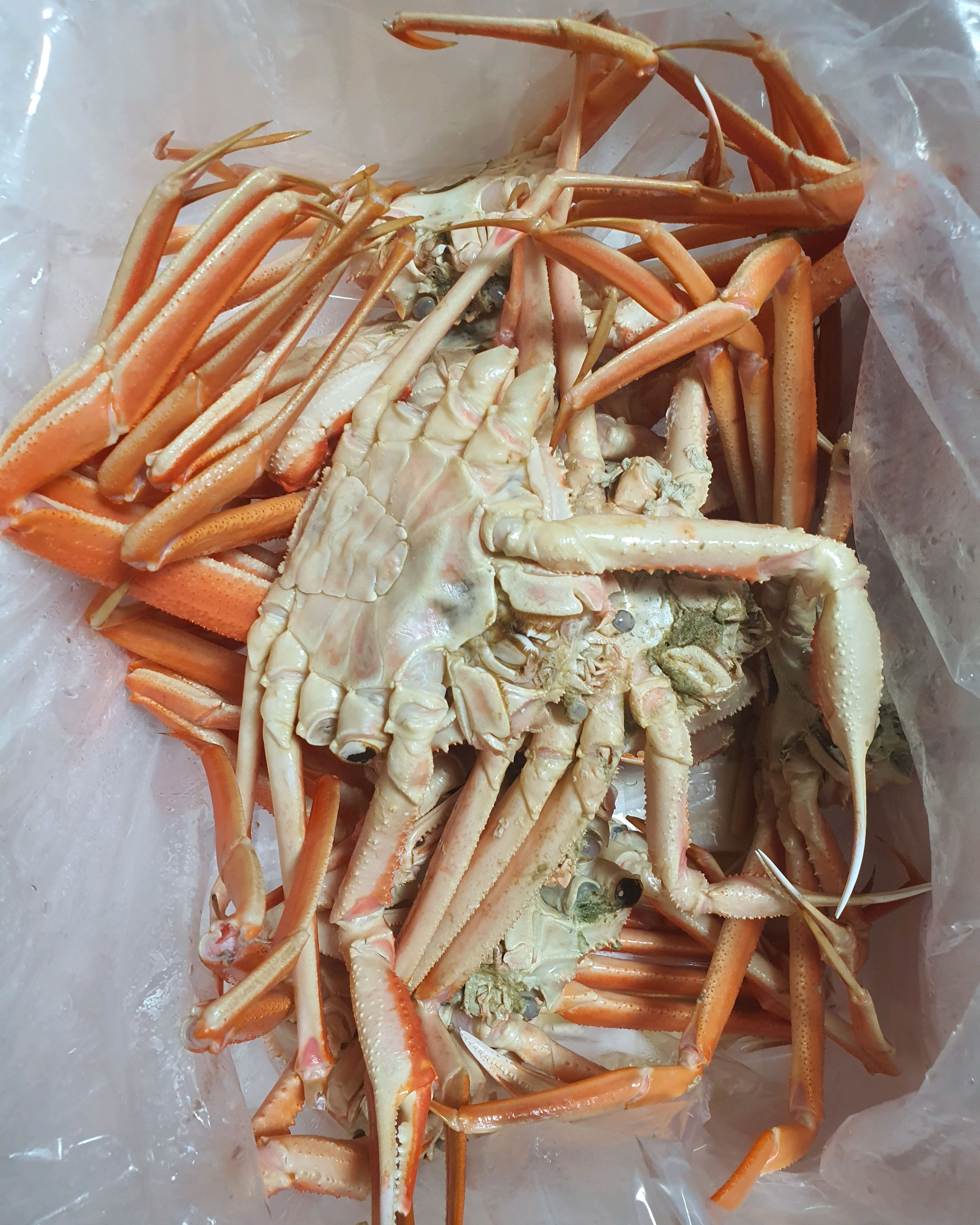 대게가 달달할 시기예요. 명절전 가족들께 택배보내드리고 저희 먹을것도 포장해와 너무 따뜻하