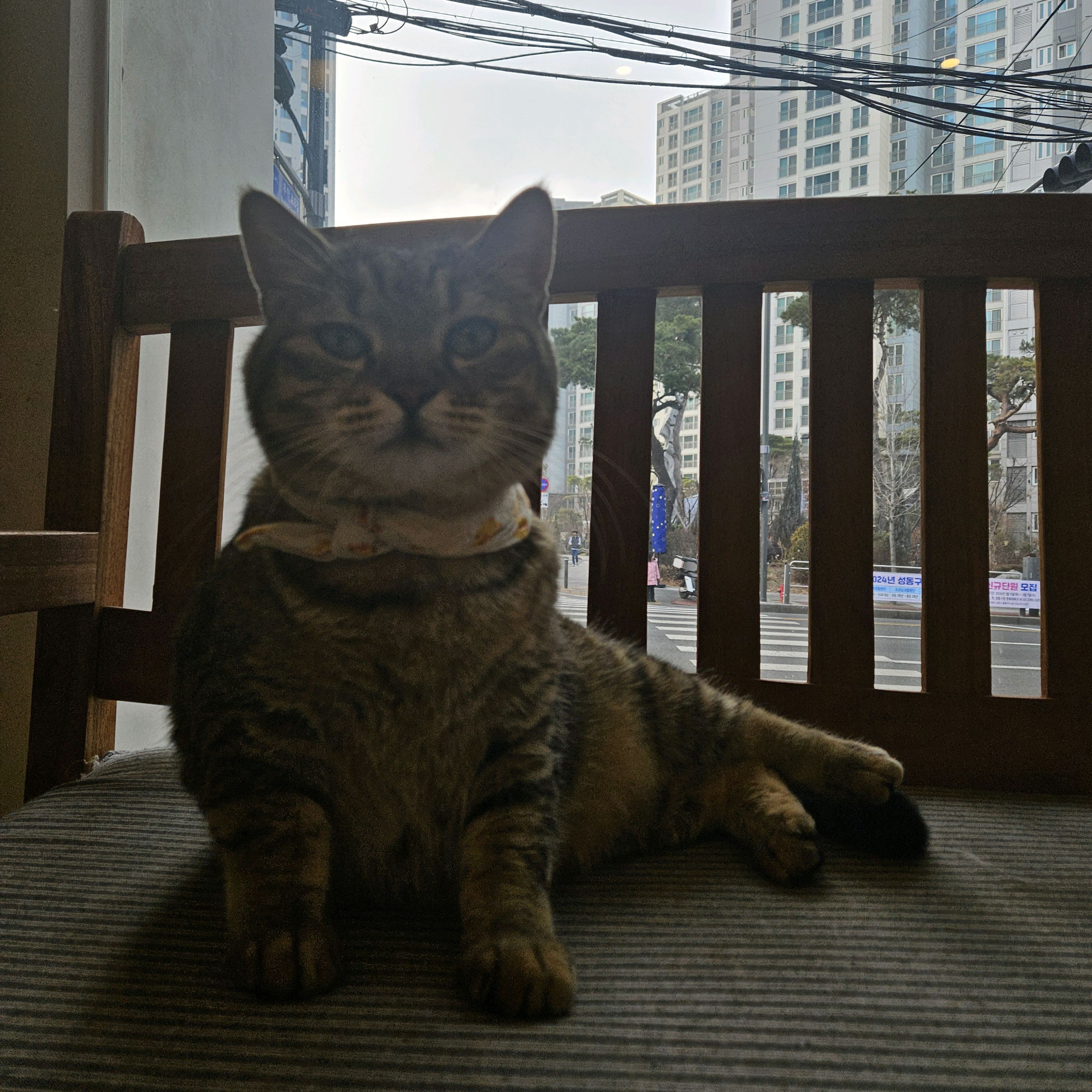 리뷰 사진 1
