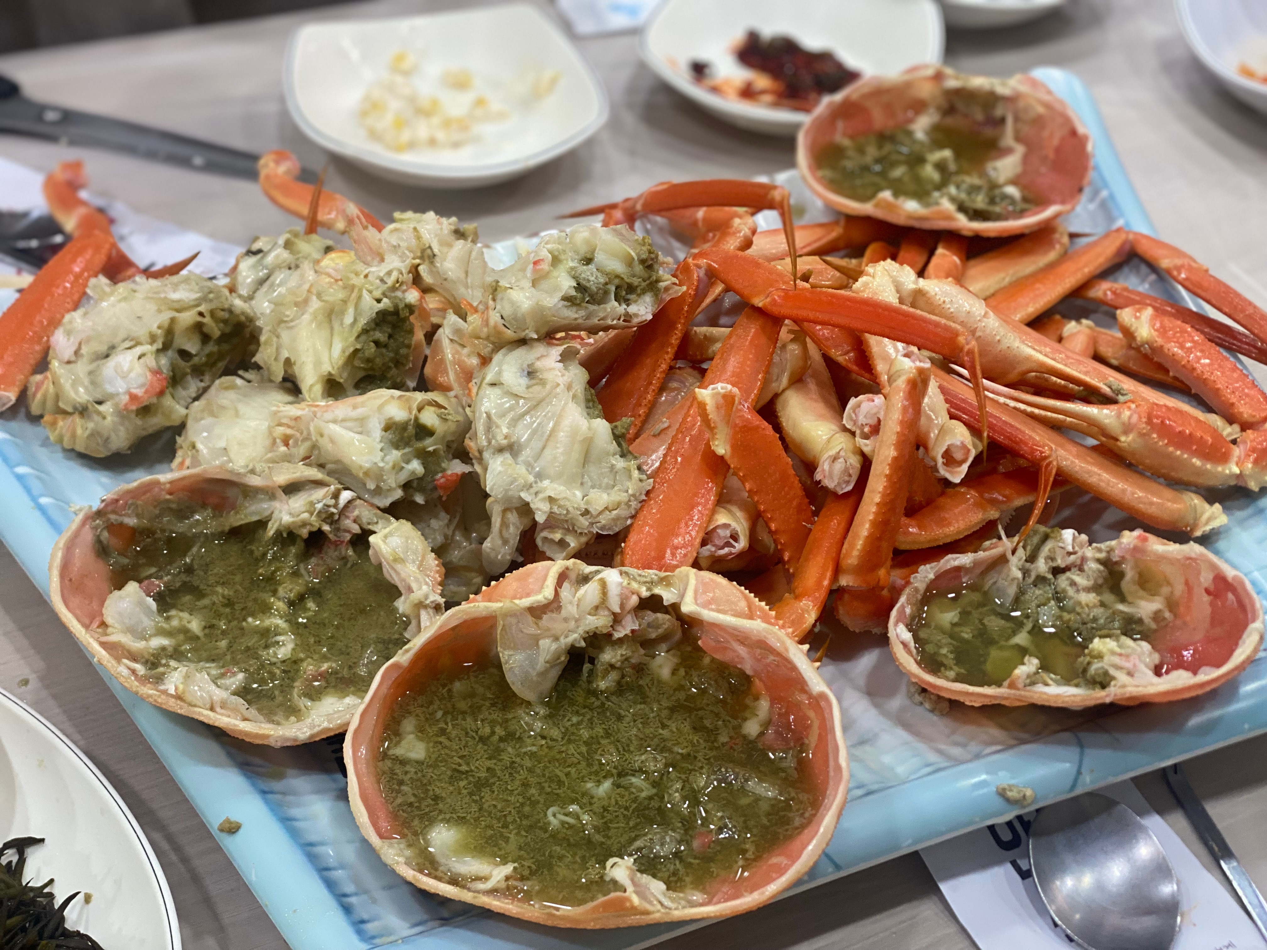 [삼척 맛집 동남호대게] 직접 가본 로컬 리뷰