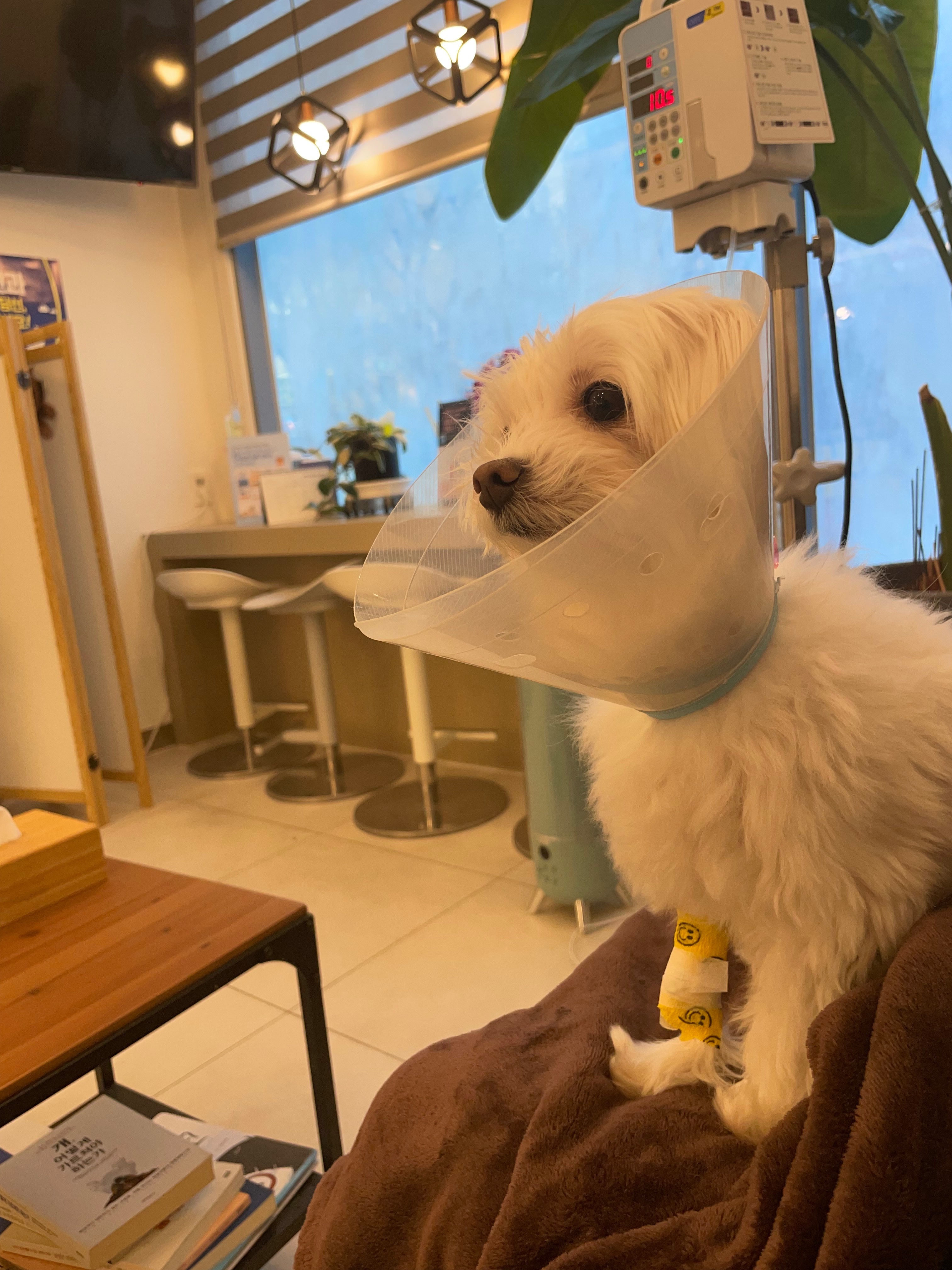 리뷰 사진 1