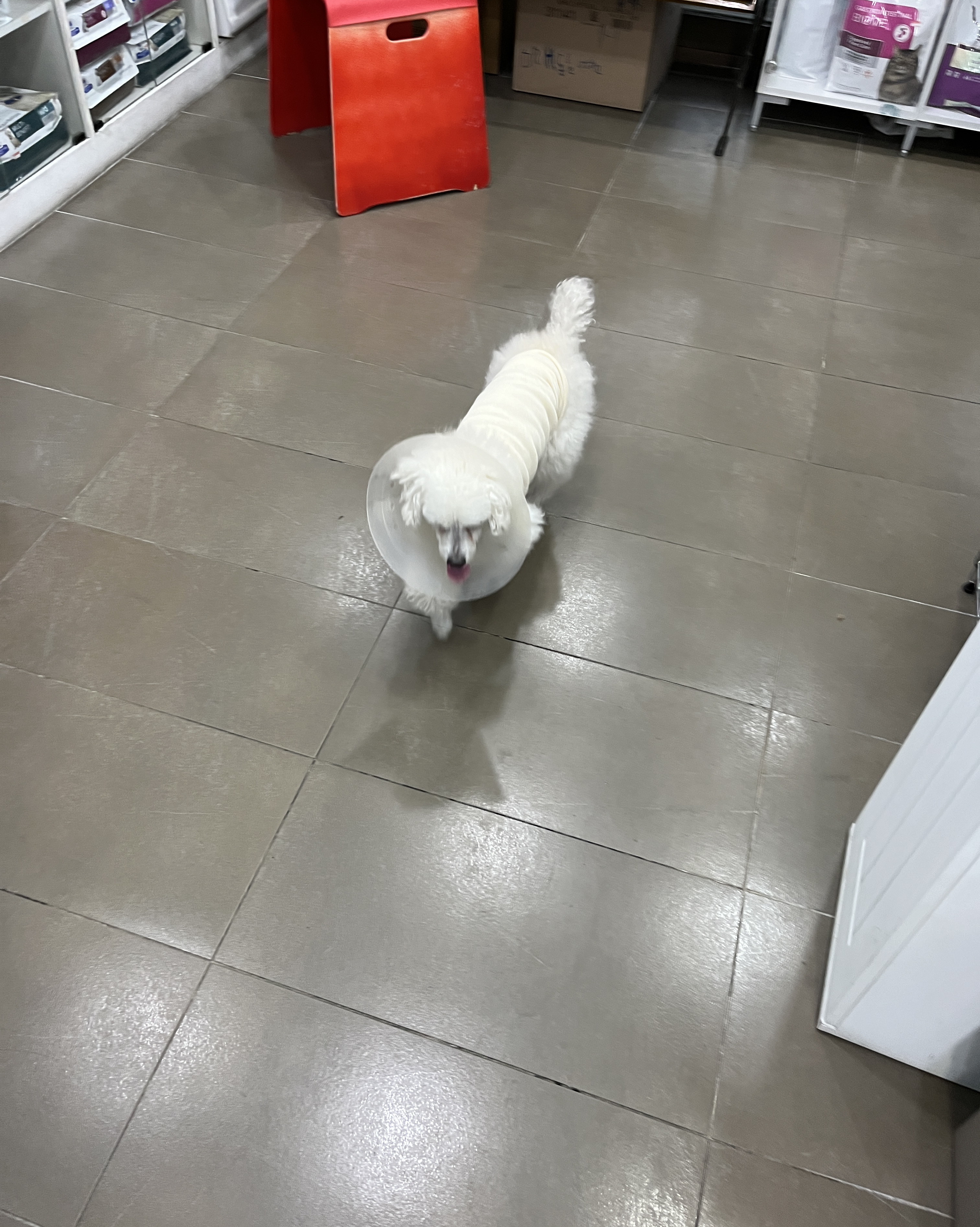 리뷰 사진 1