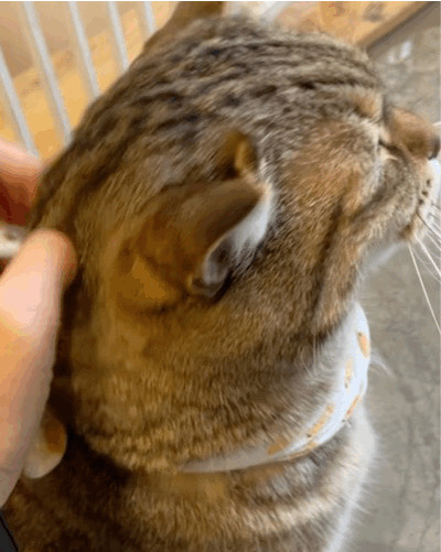 리뷰 사진 1