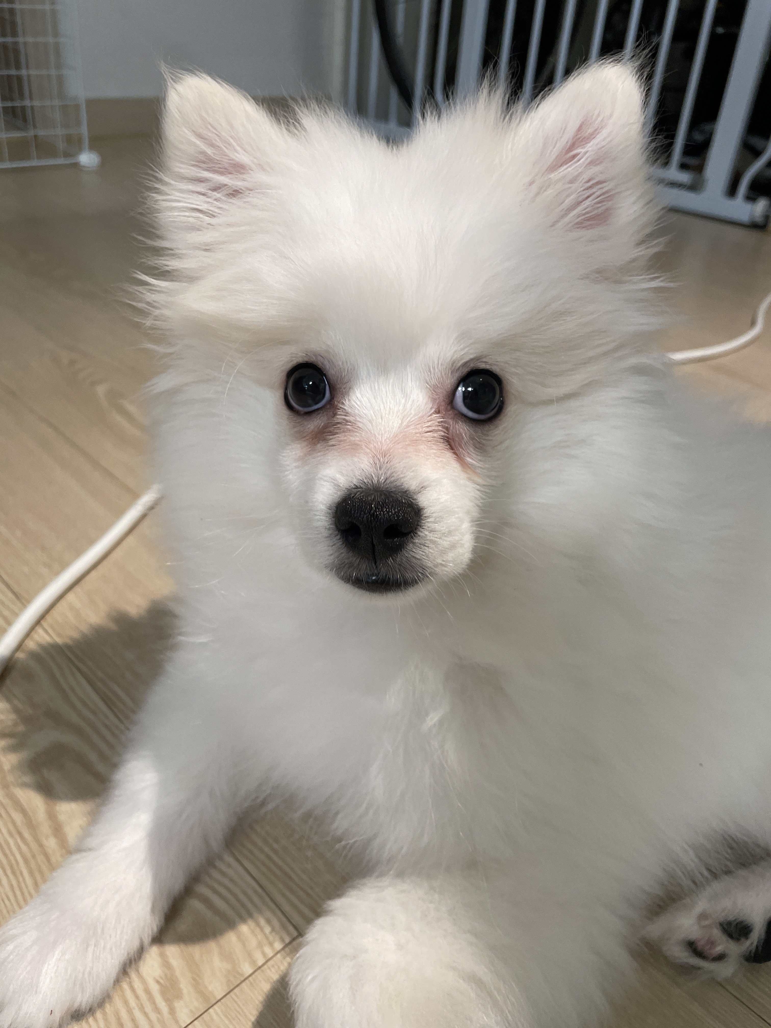 리뷰 사진 1
