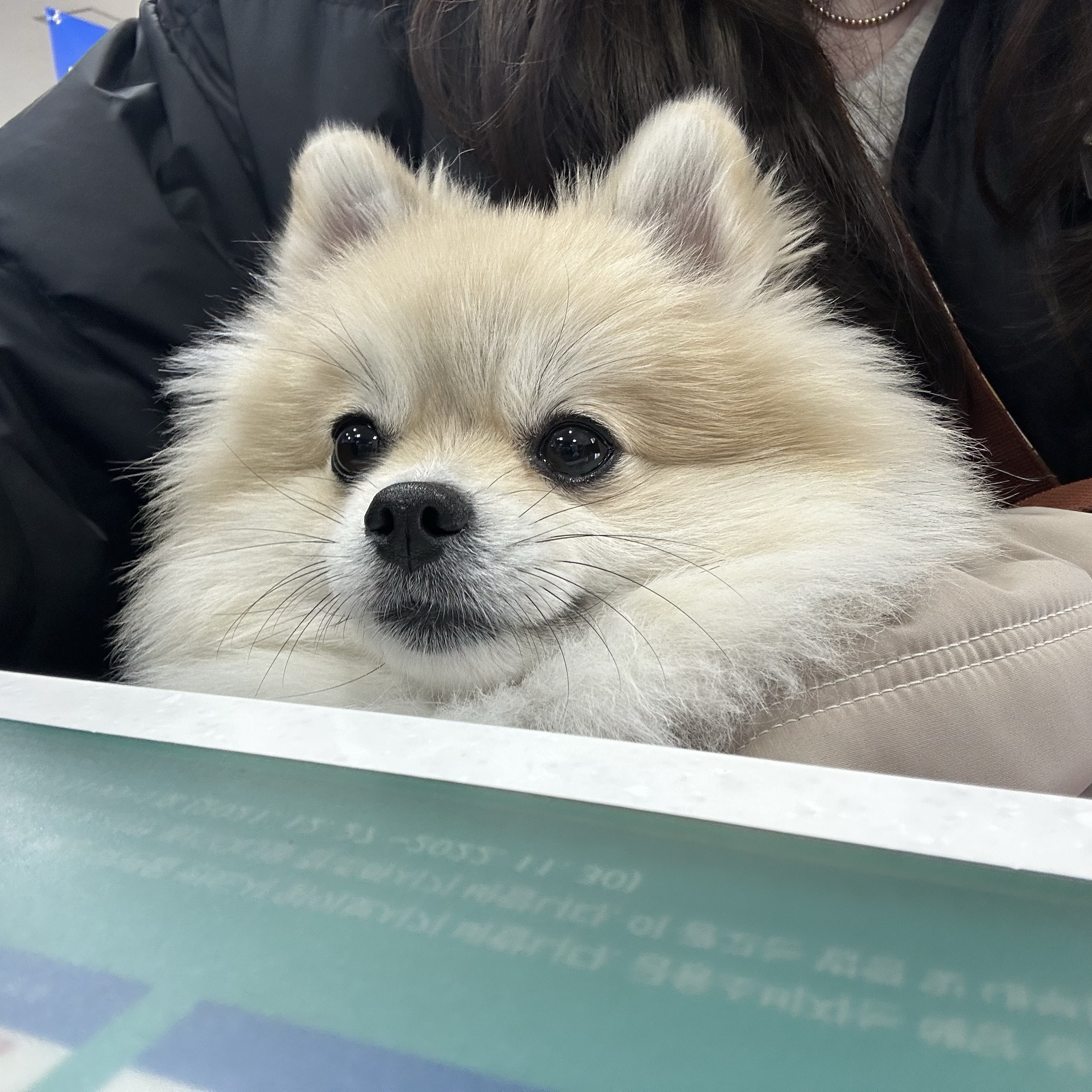 리뷰 사진 1