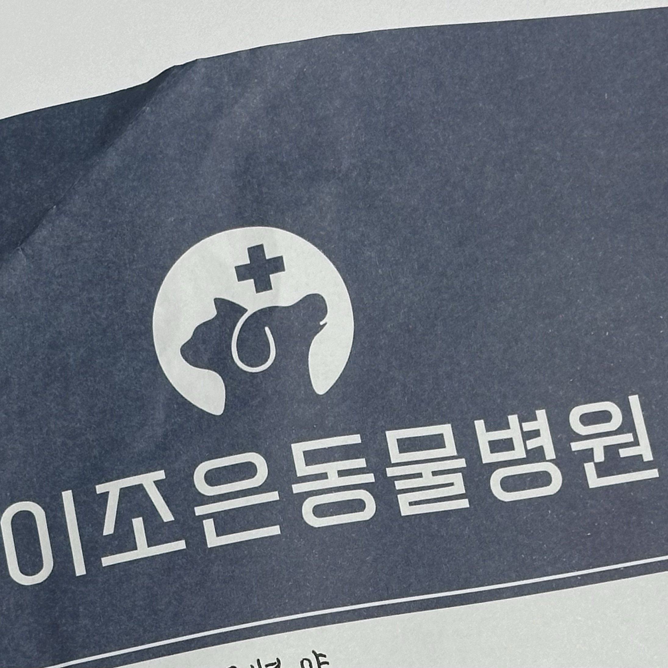 아이조은동물병원 사진 5