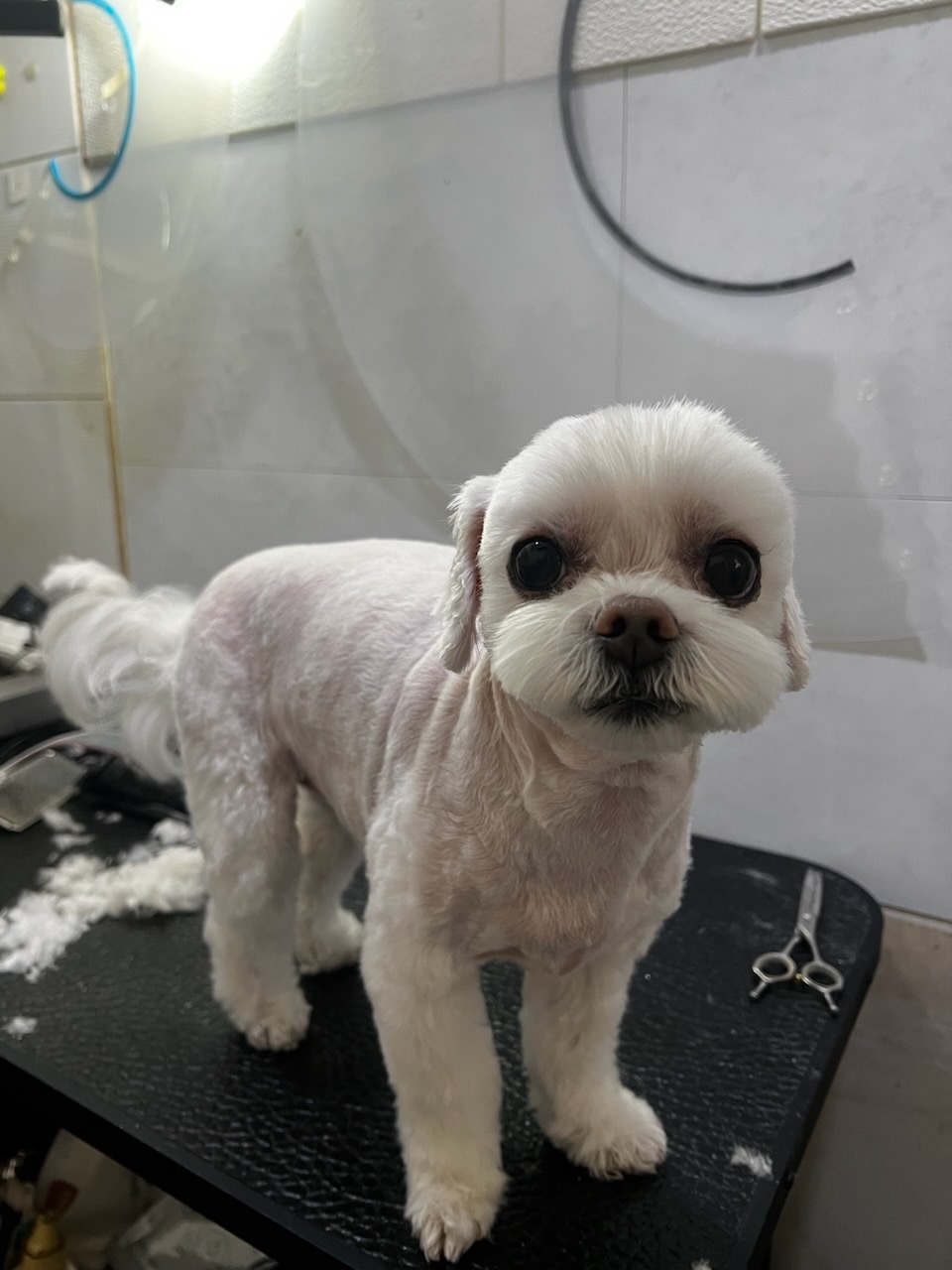 리뷰 사진 1