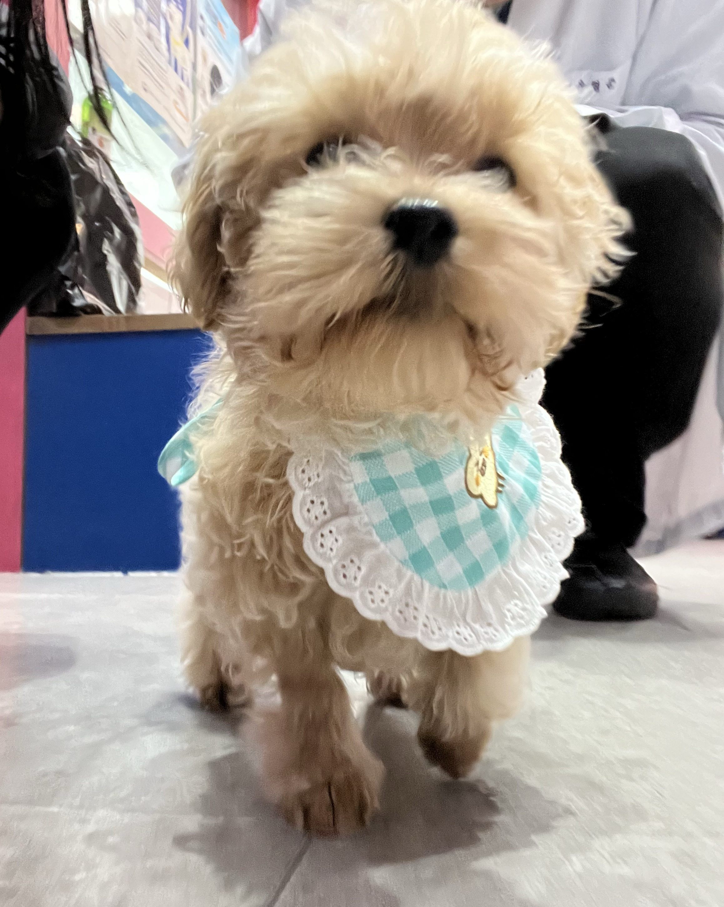 리뷰 사진 1