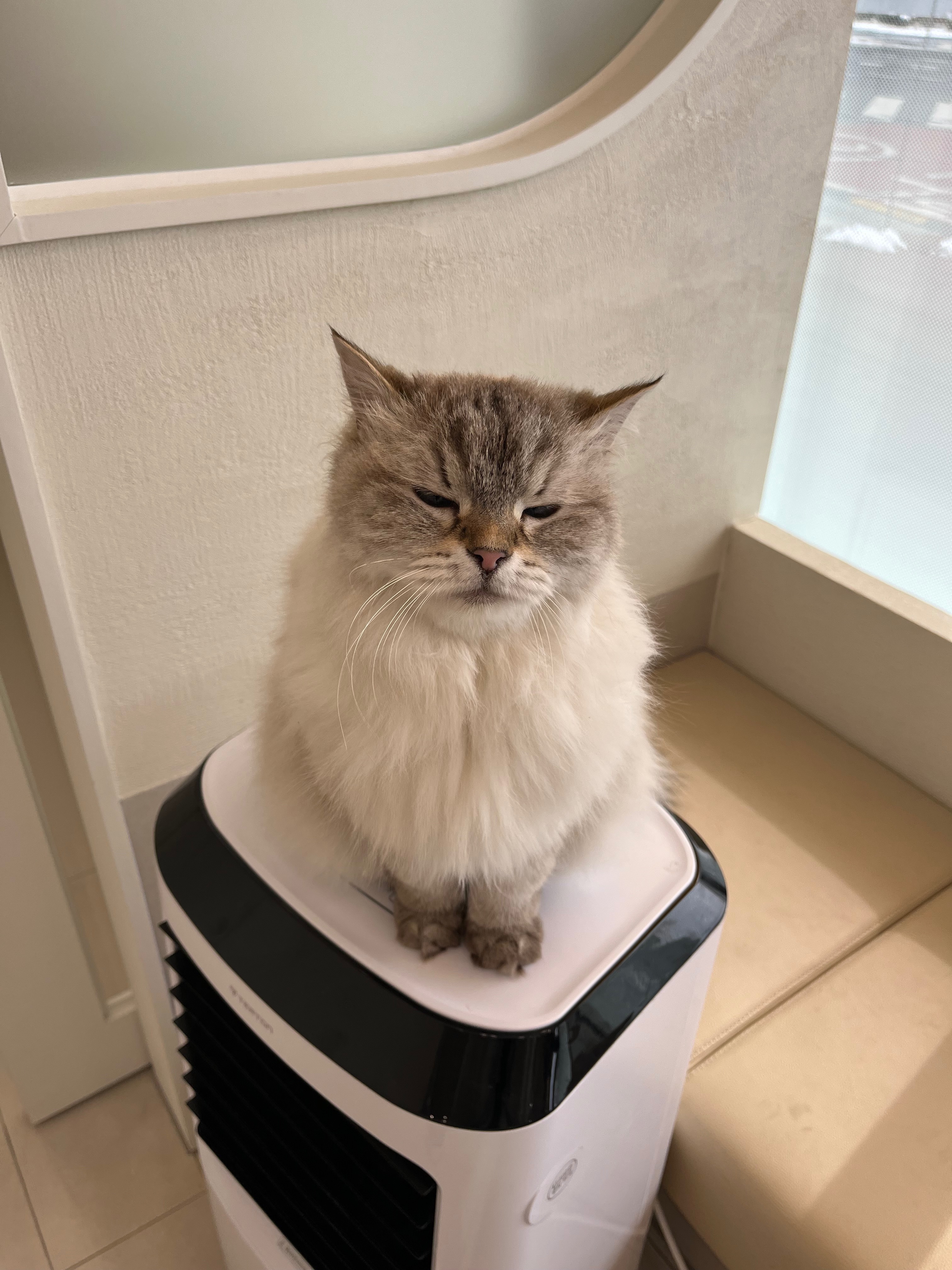 리뷰 사진 2
