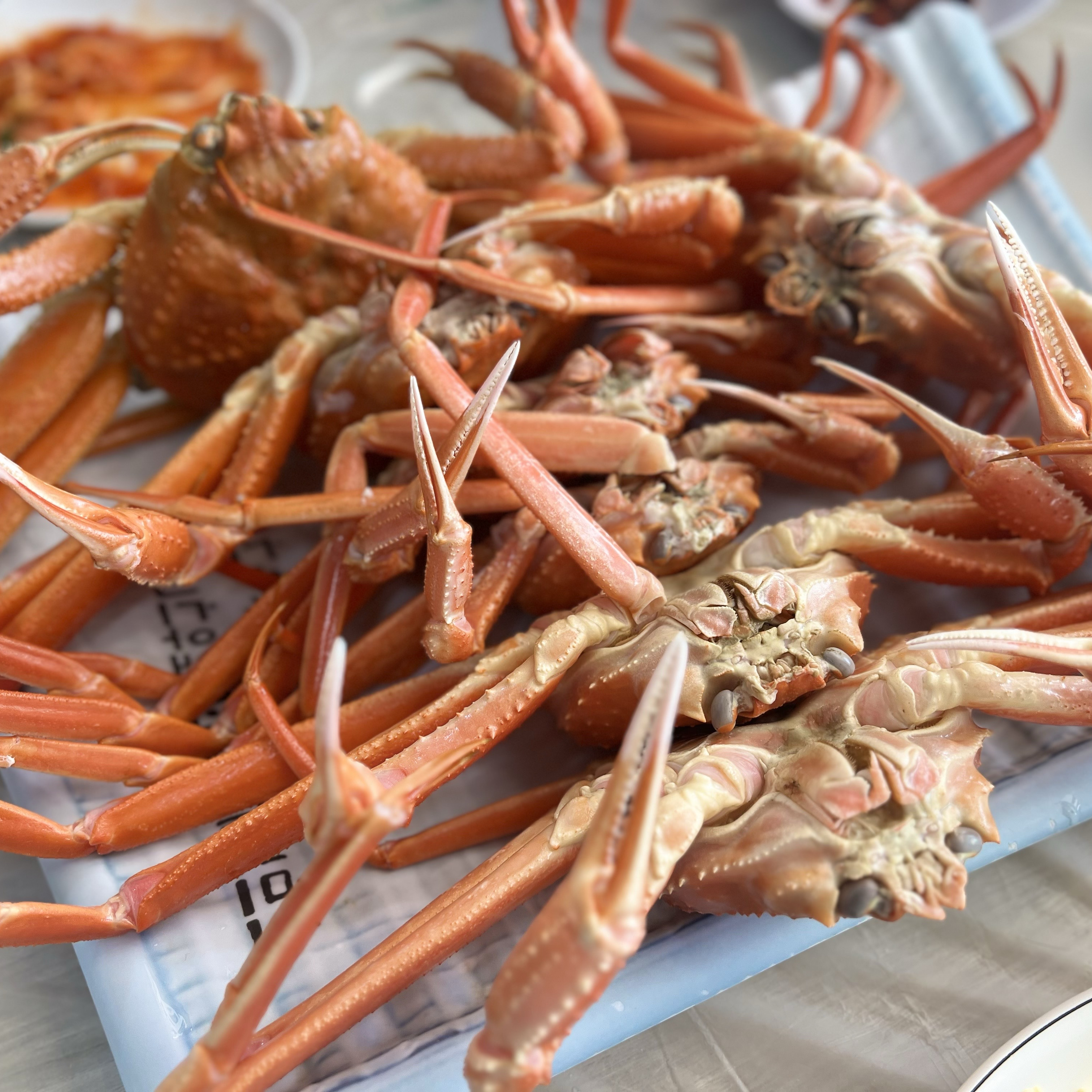 [삼척 맛집 동남호대게] 직접 가본 로컬 리뷰